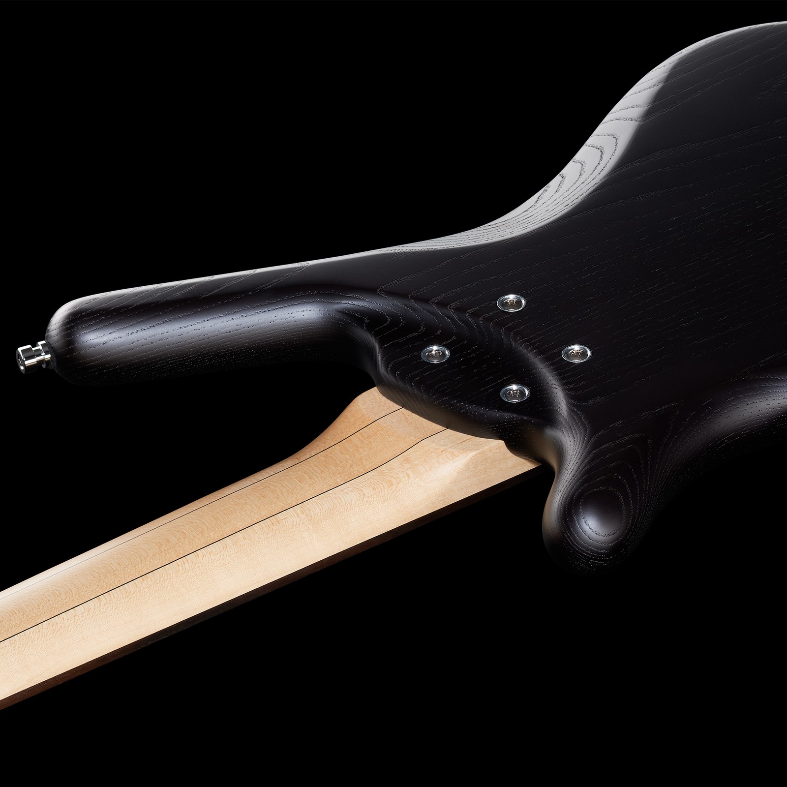 Warwick RB Corvette $$ 5 FL NB TS, fretless five-string bass, rear view