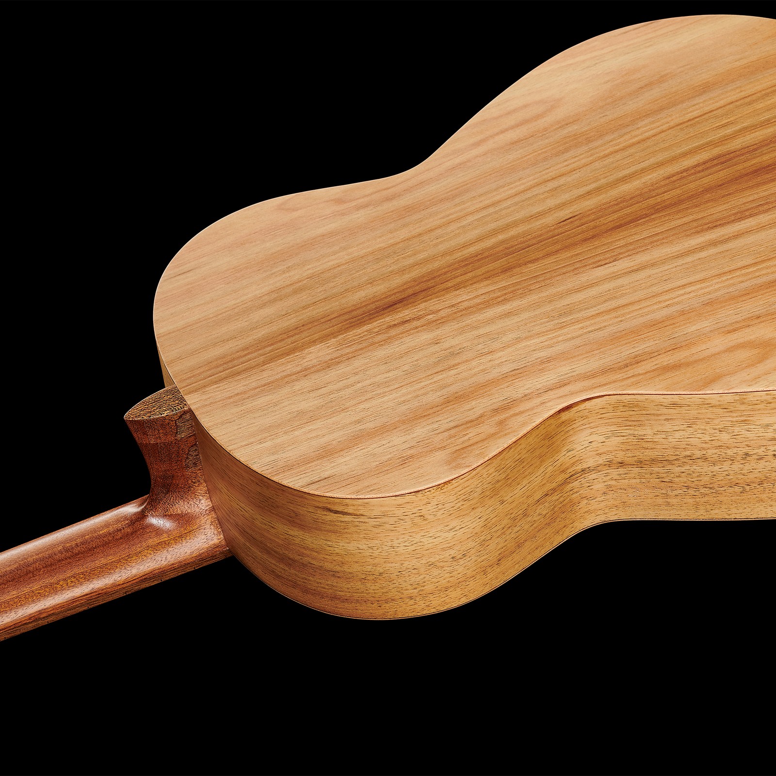 Thomann Classica Acacia, Rückseite