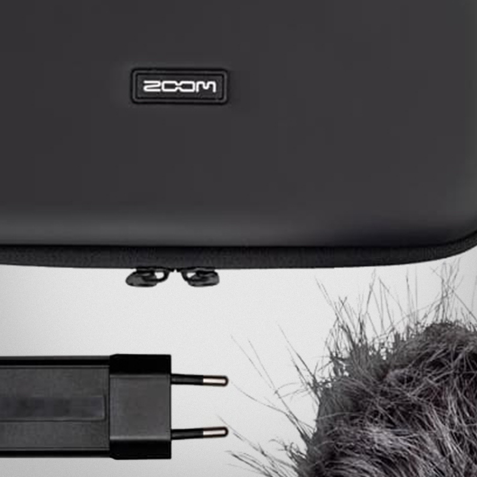 Zoom Logo