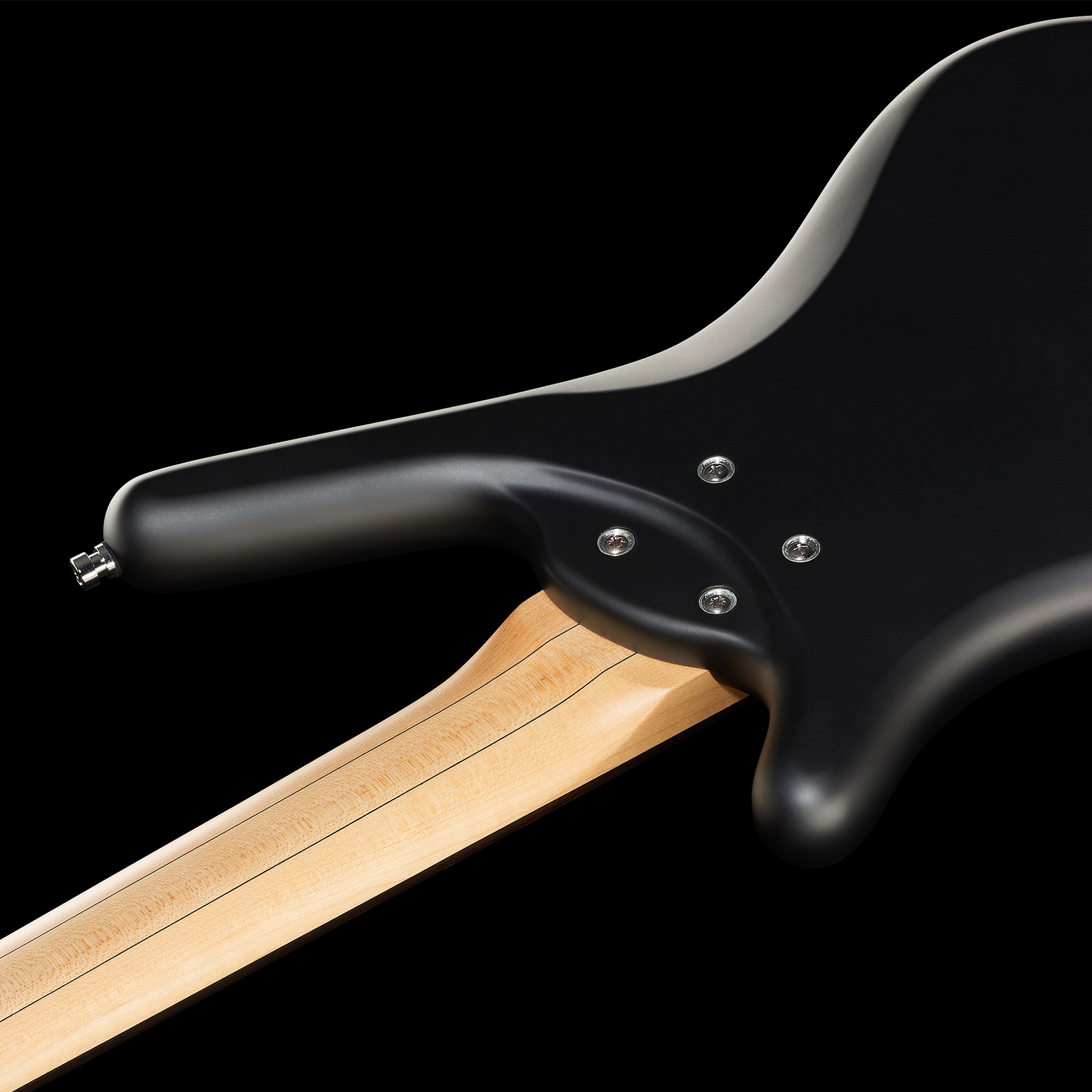 Warwick RB Corvette Basic 5 FL NBTS, fretless five-string bass, rear view