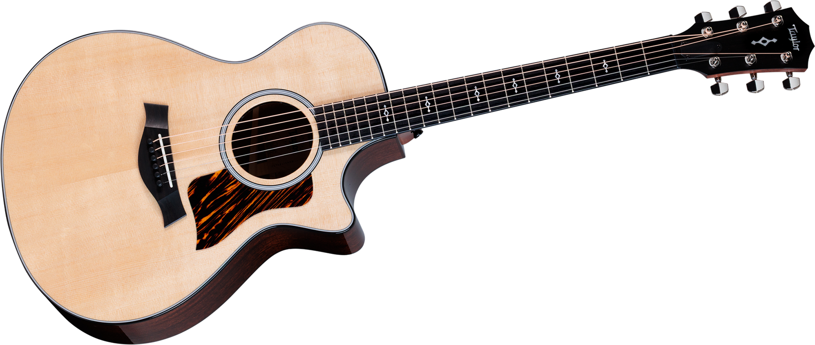Taylor 312ce Next Generation