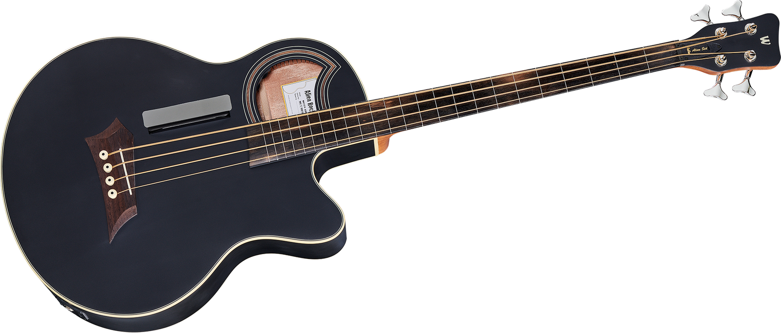 Warwick RB Alien Standard FL, Satin Black acoustic fretless bass