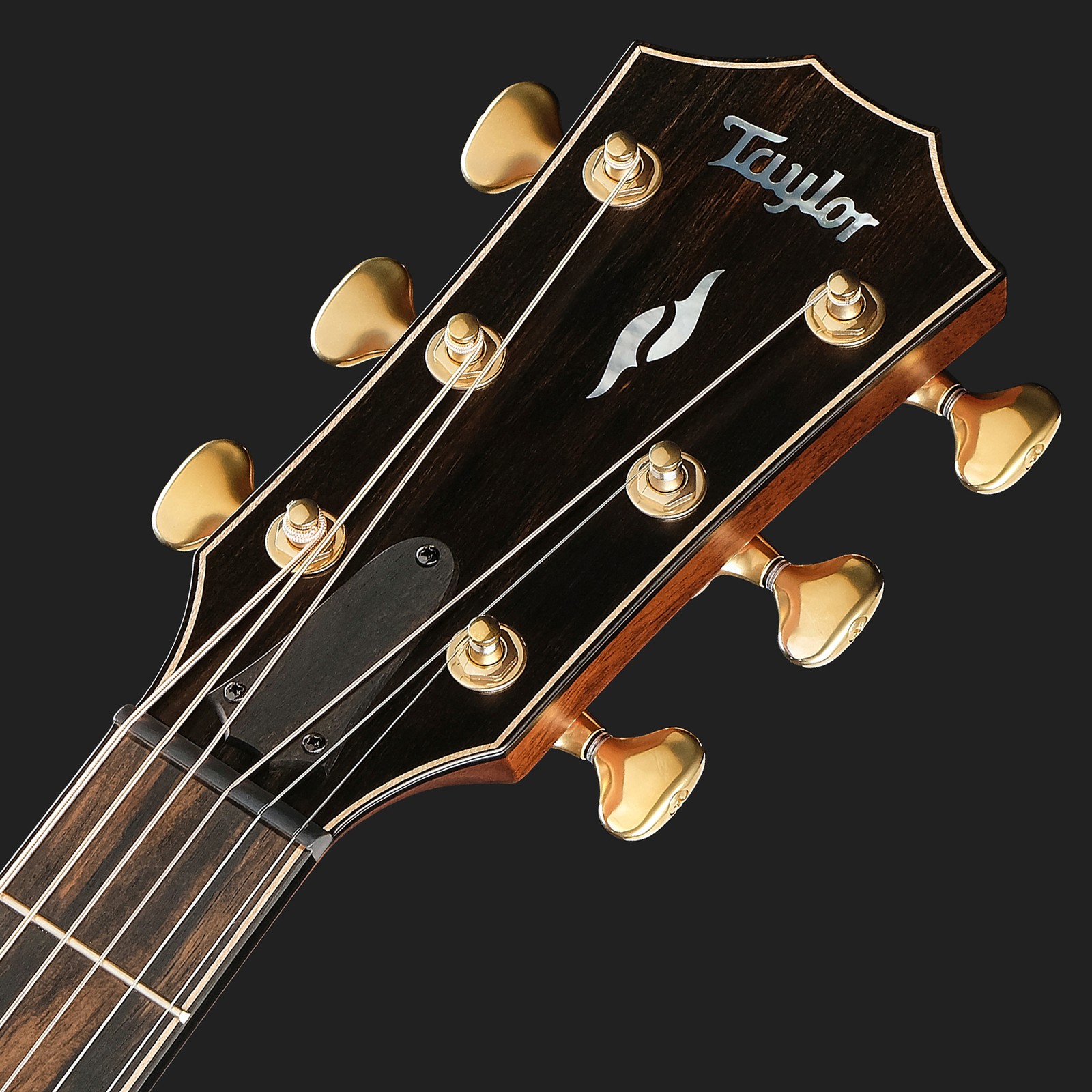 Kopfplatte der Taylor BE 814ce Next Gen Westerngitarre