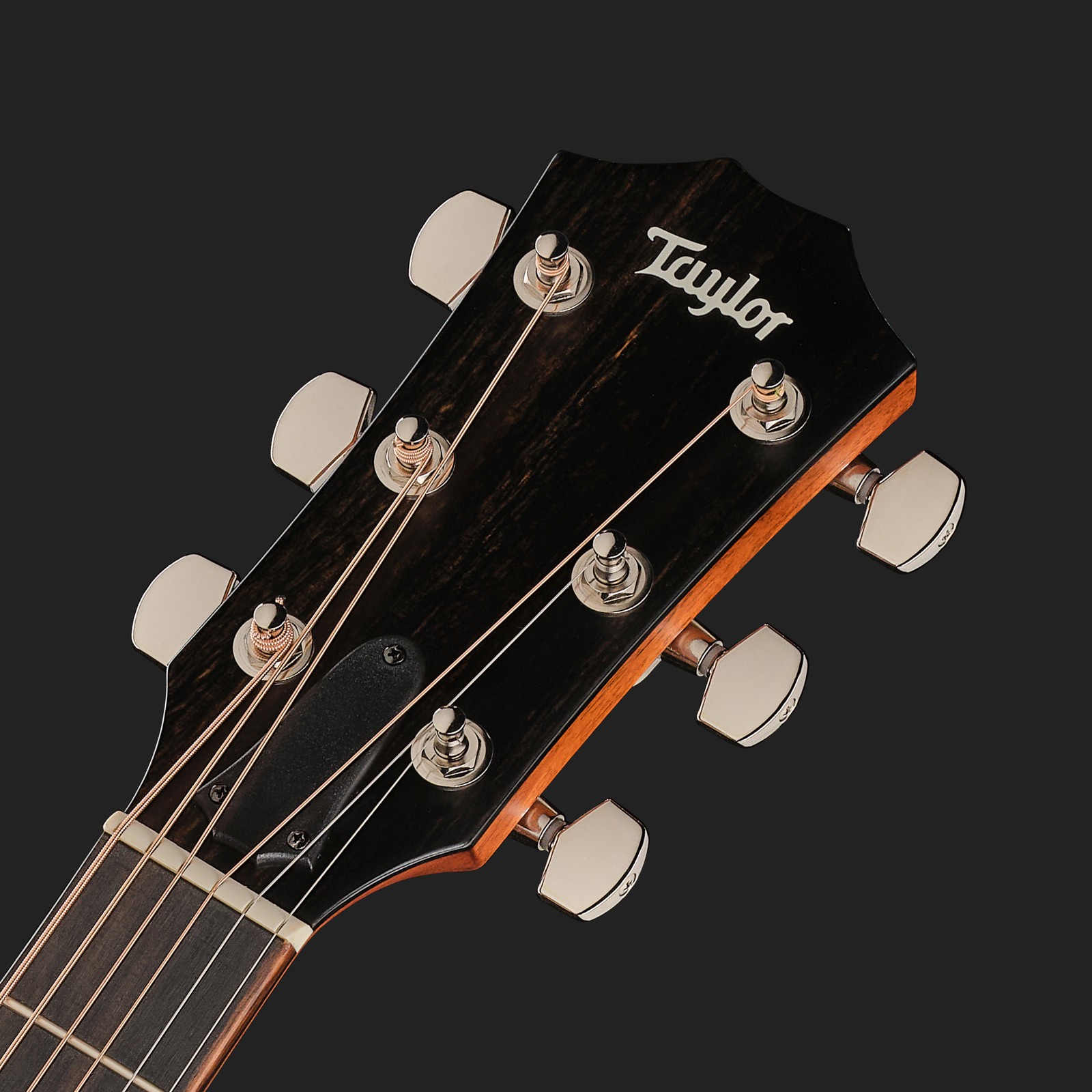 Kopfplatte der Taylor 314ce Studio SEB