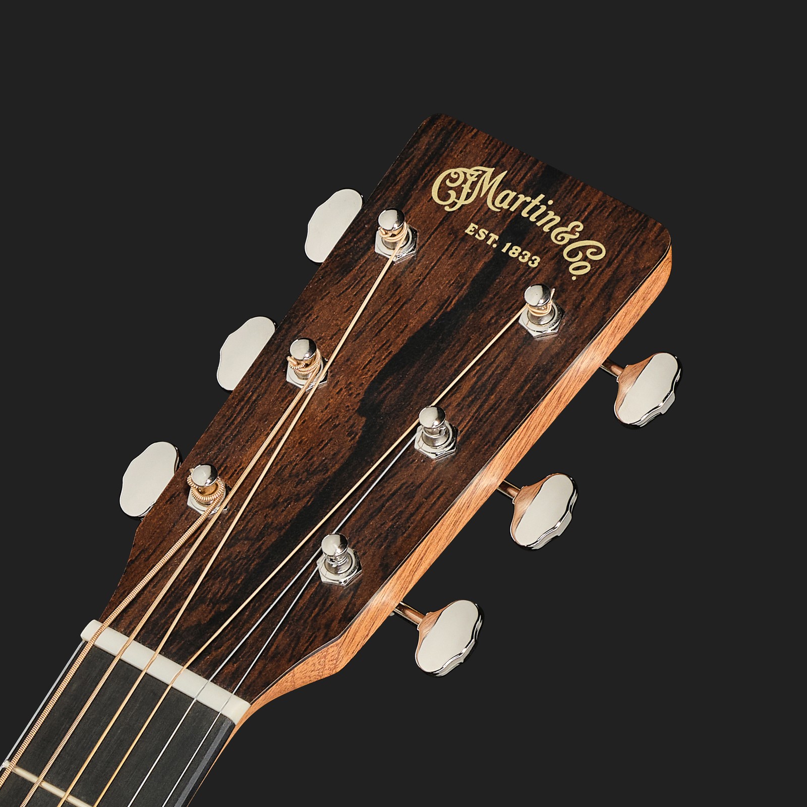 Kopfplatte der Martin Guitar D Jr E StreetMaster Westerngitarre