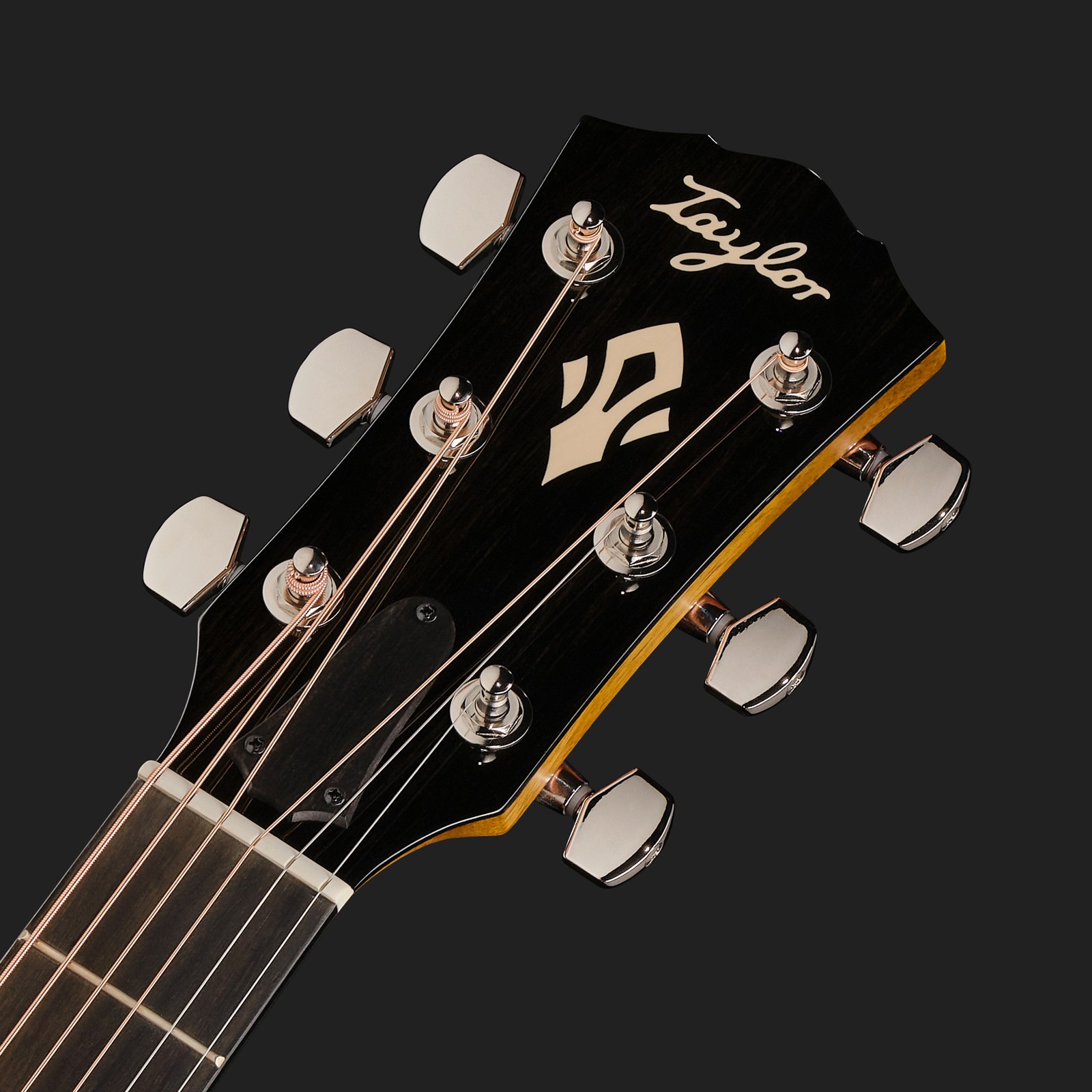 Kopfplatte der Taylor Gold Label 717e SB Cream Westerngitarre