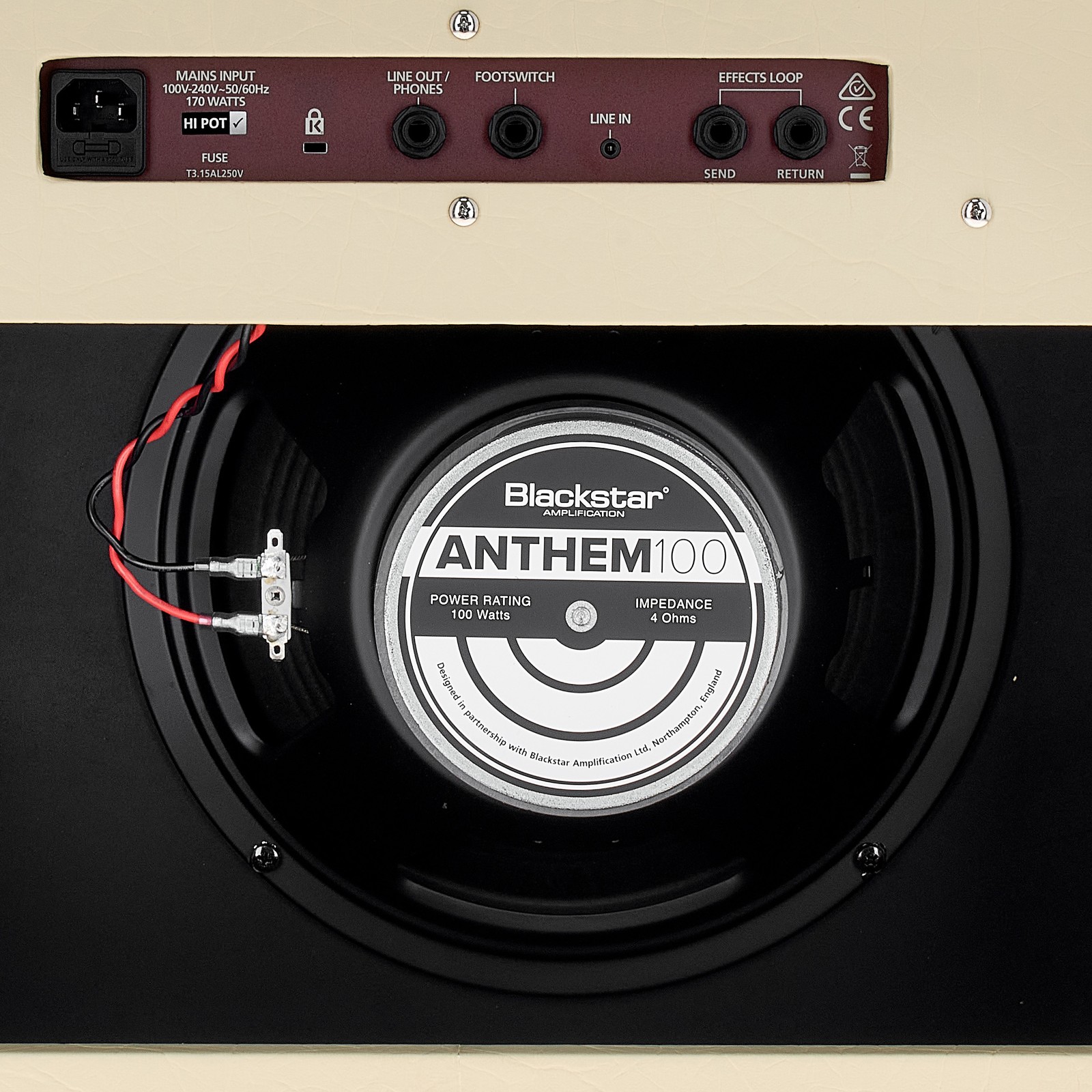 Anschlüsse und Speaker auf der Rückseite des Blackstar Debut 100R 1x12" Beige 