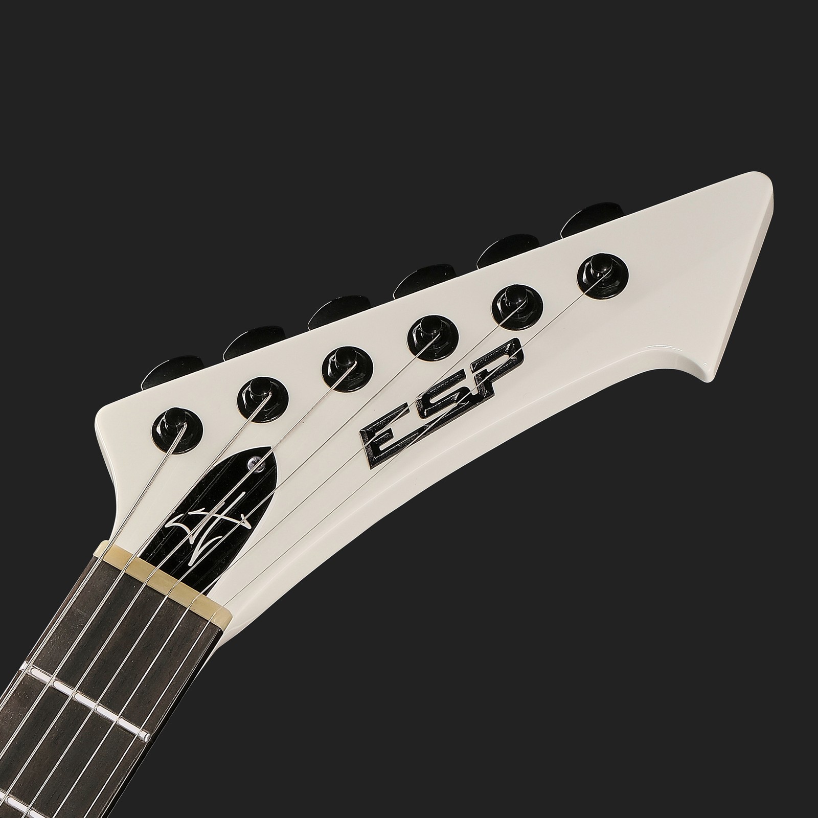 ESP Logo an der ESP Snakebyte SW James Hetfield E-Gitarre