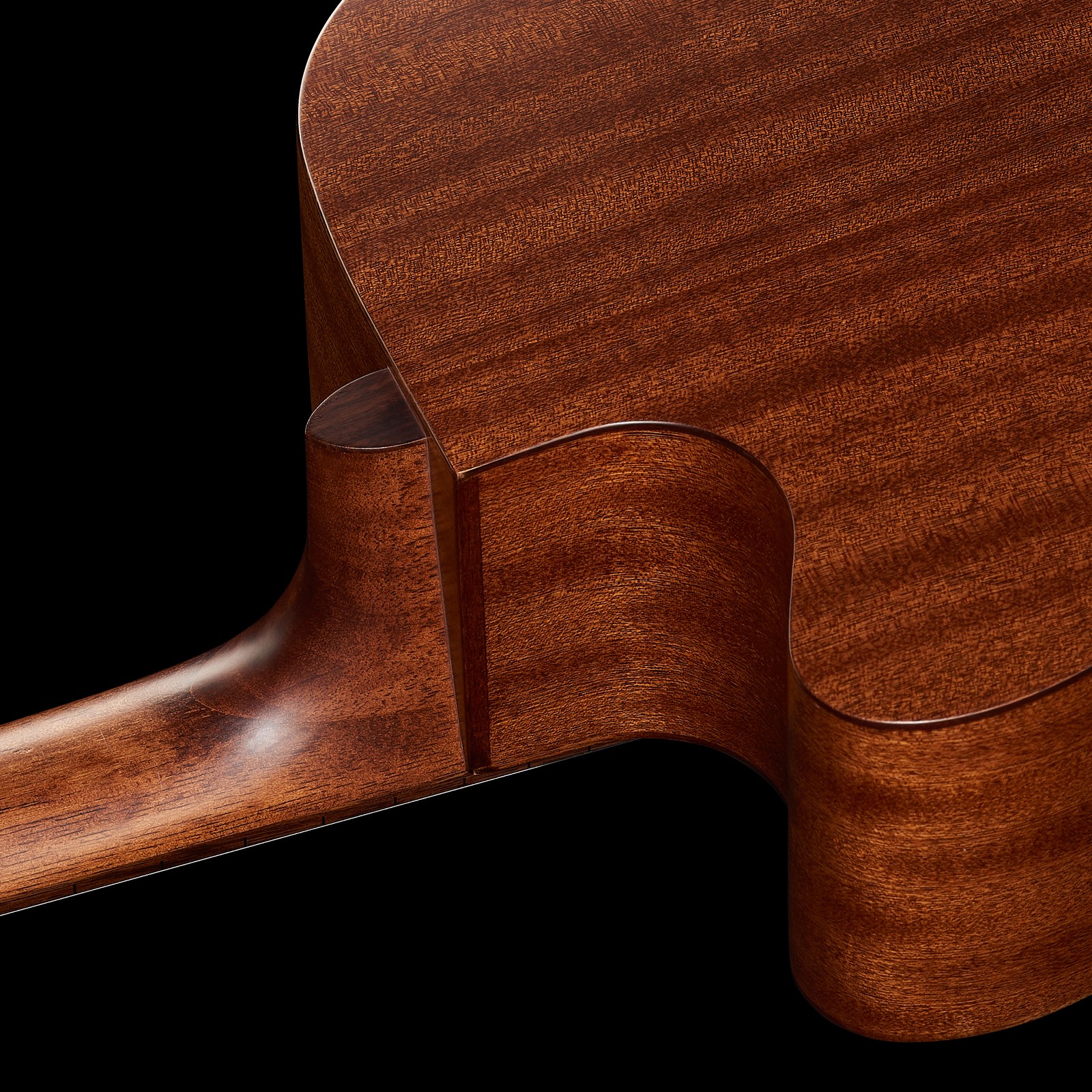 Harley Benton Custom Line CLD-15MCE, rear view of neck and body