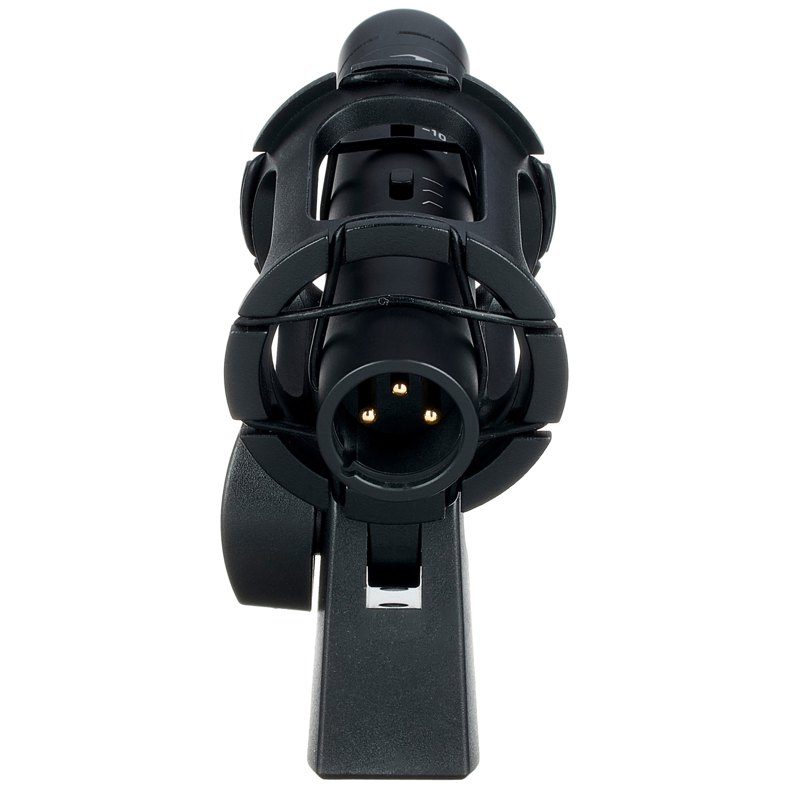 Antelope Edge XLR connection