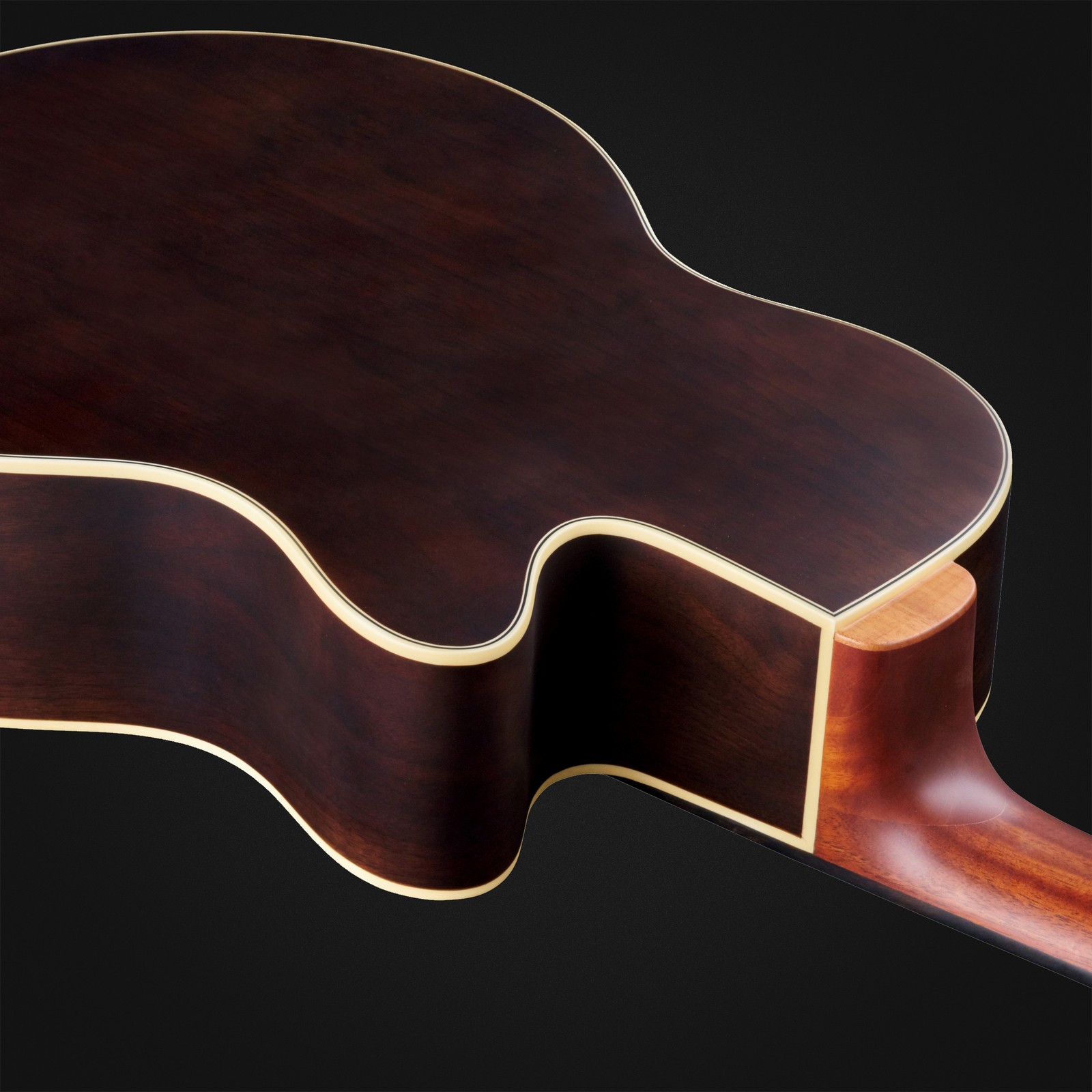 Rückseite des Warwick Alien Deluxe 6 NT FL LH