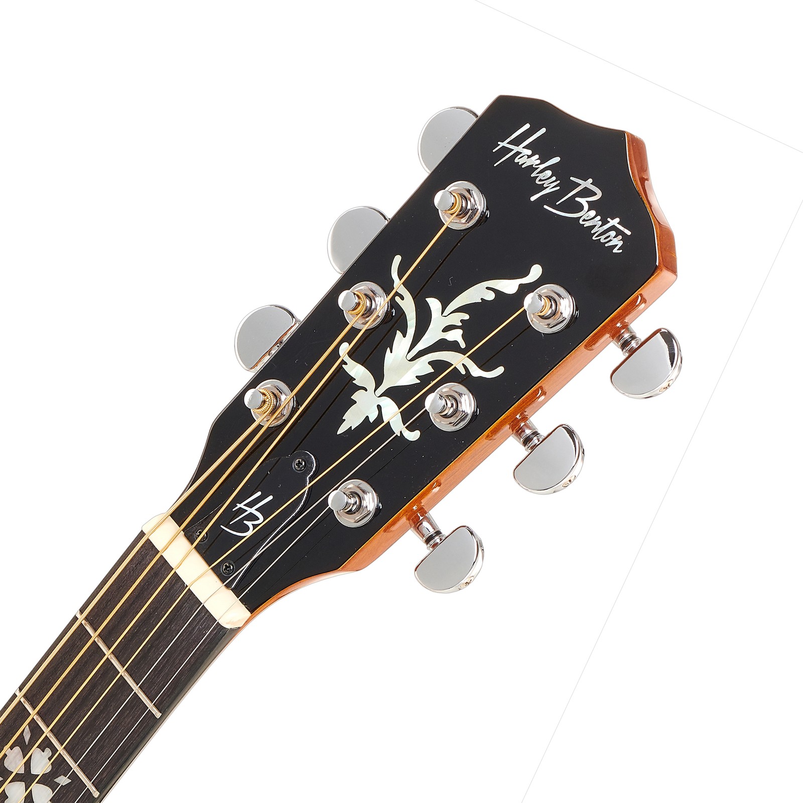 Kopfplatte des Harley Benton BJ-65Pro 6-Saiter Banjo