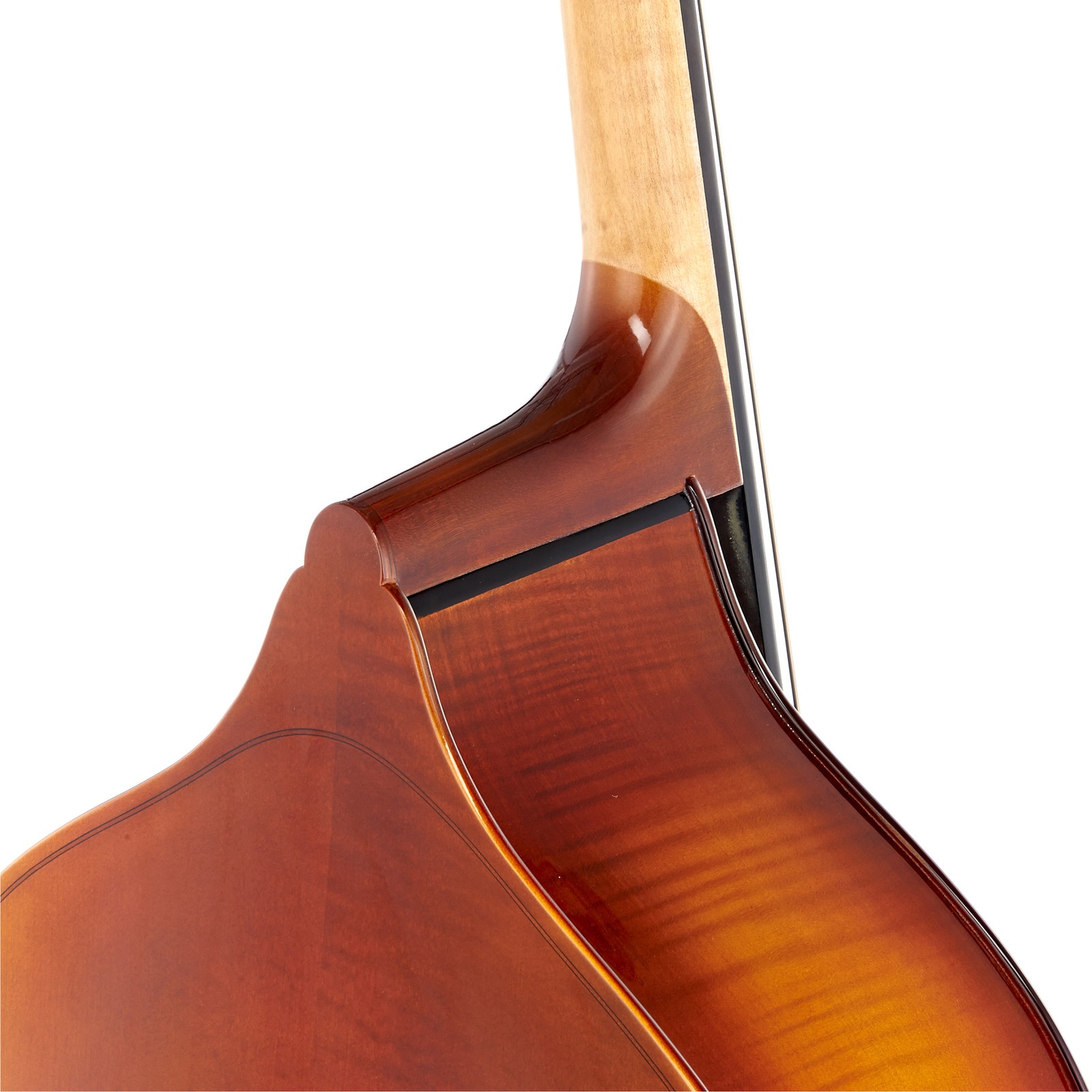 Thomann 11 1/2 Europe Double Bass Halsübergang