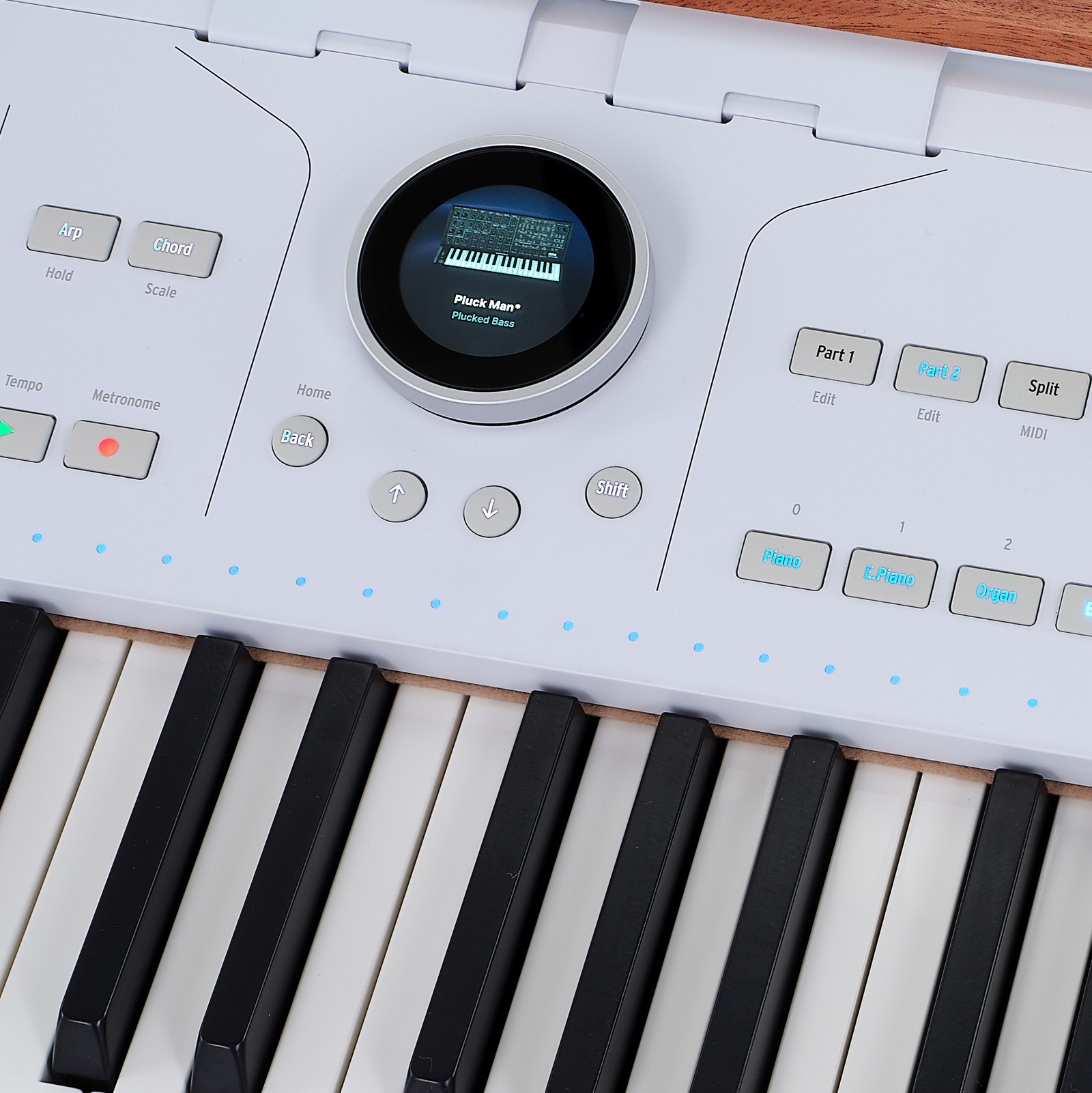 Arturia AstroLab 88 – Écran avec roue de navigation