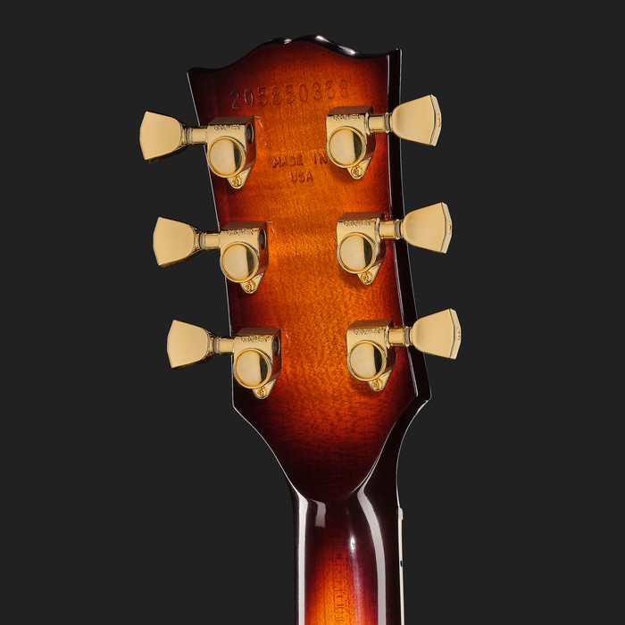 Volute
