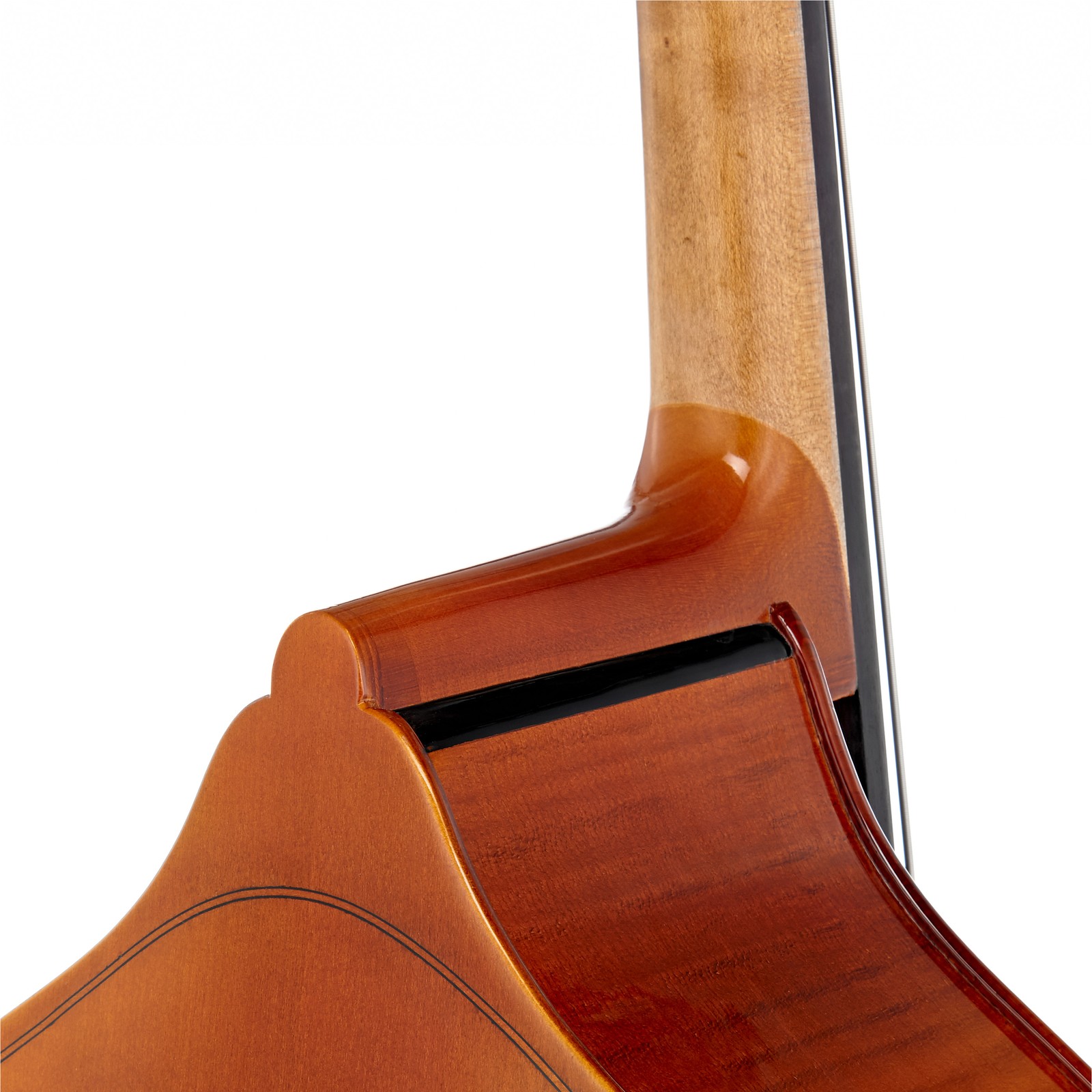 Thomann 22 1/8 Europe Double Bass Halsübergang