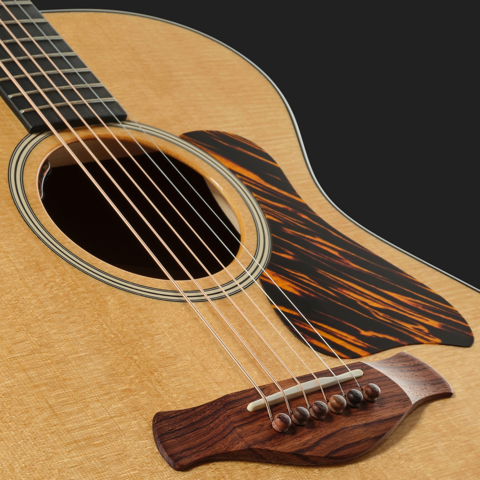Schallloch der Taylor Gold Label 512e 