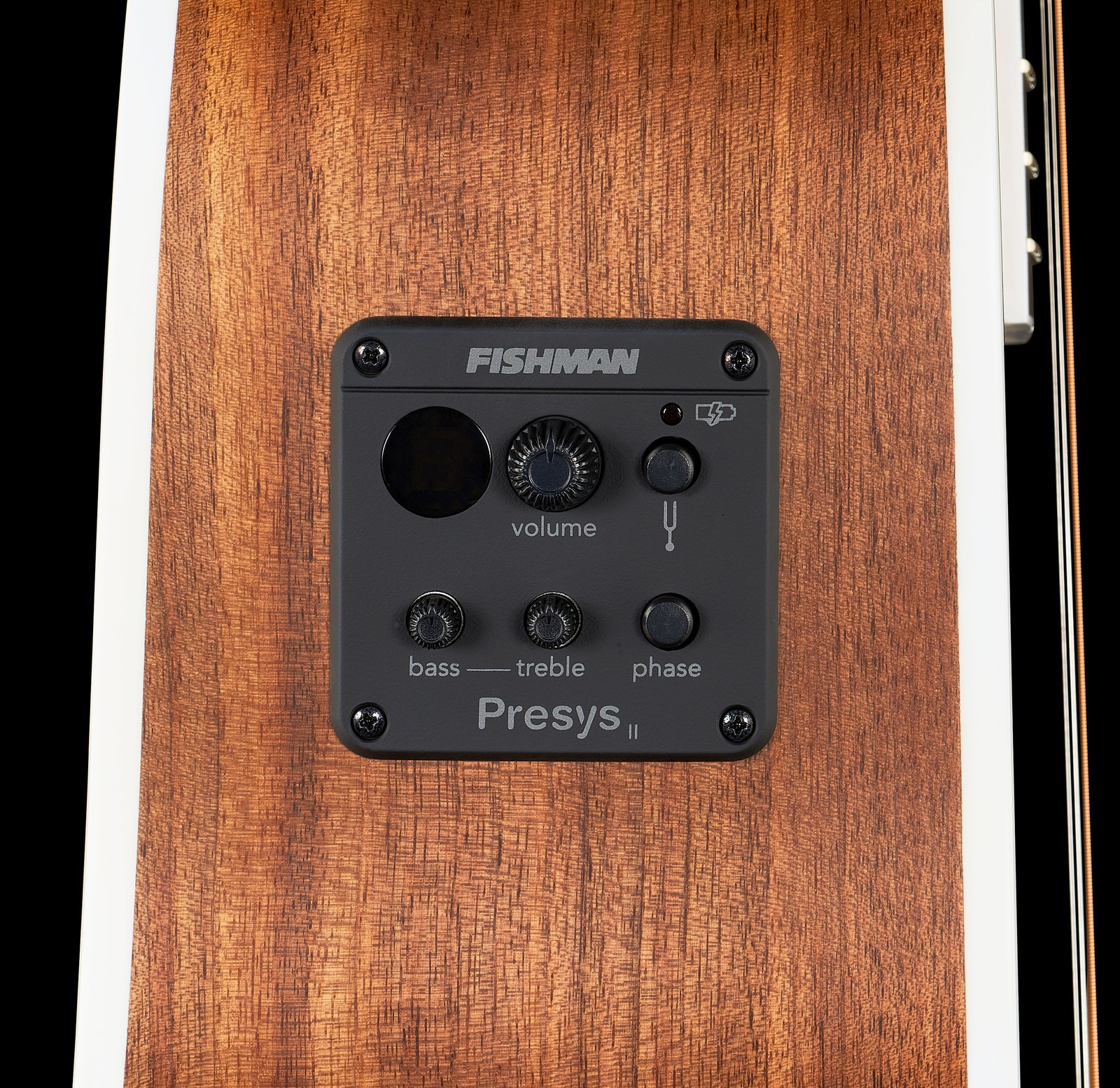Pickup mit Fishman Presys II Preamp