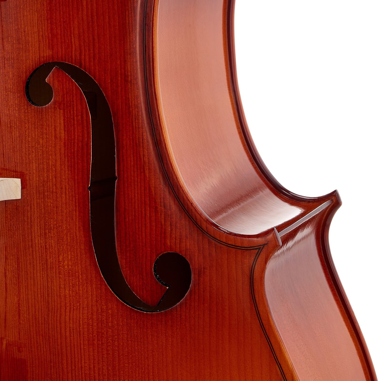 F-hole in the Bridge on the Roth & Junius Europe 4/4 Student Cello