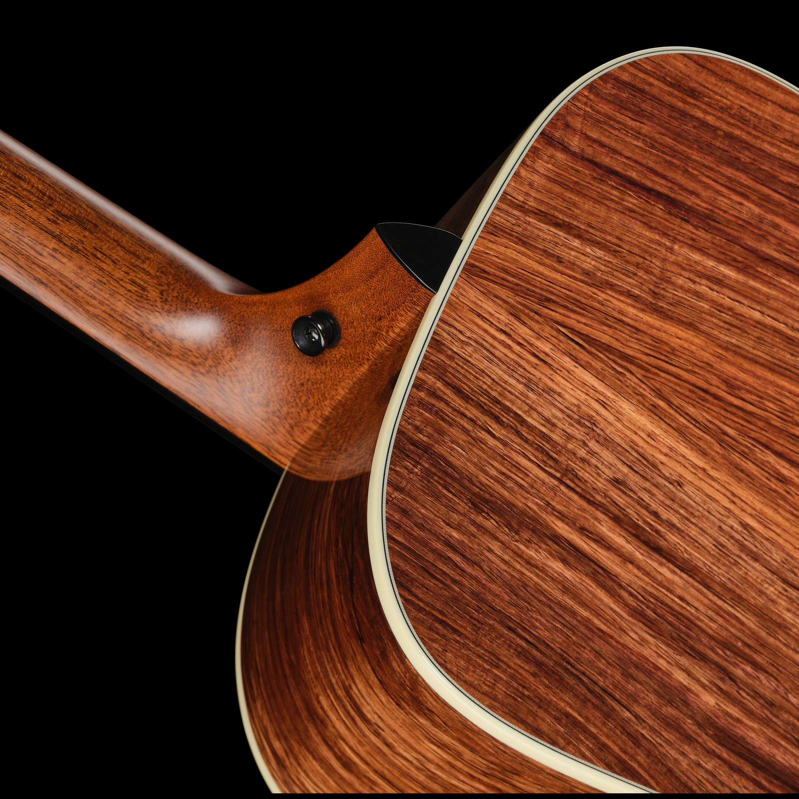 Gurtpin am Halsübergang der Taylor Gold Label 810e 