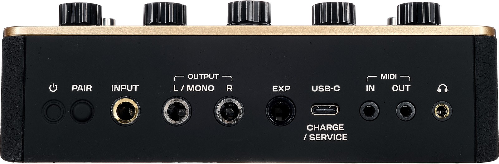 Anschlüsse auf der Rückseite des Positive Grid Spark Pedal 