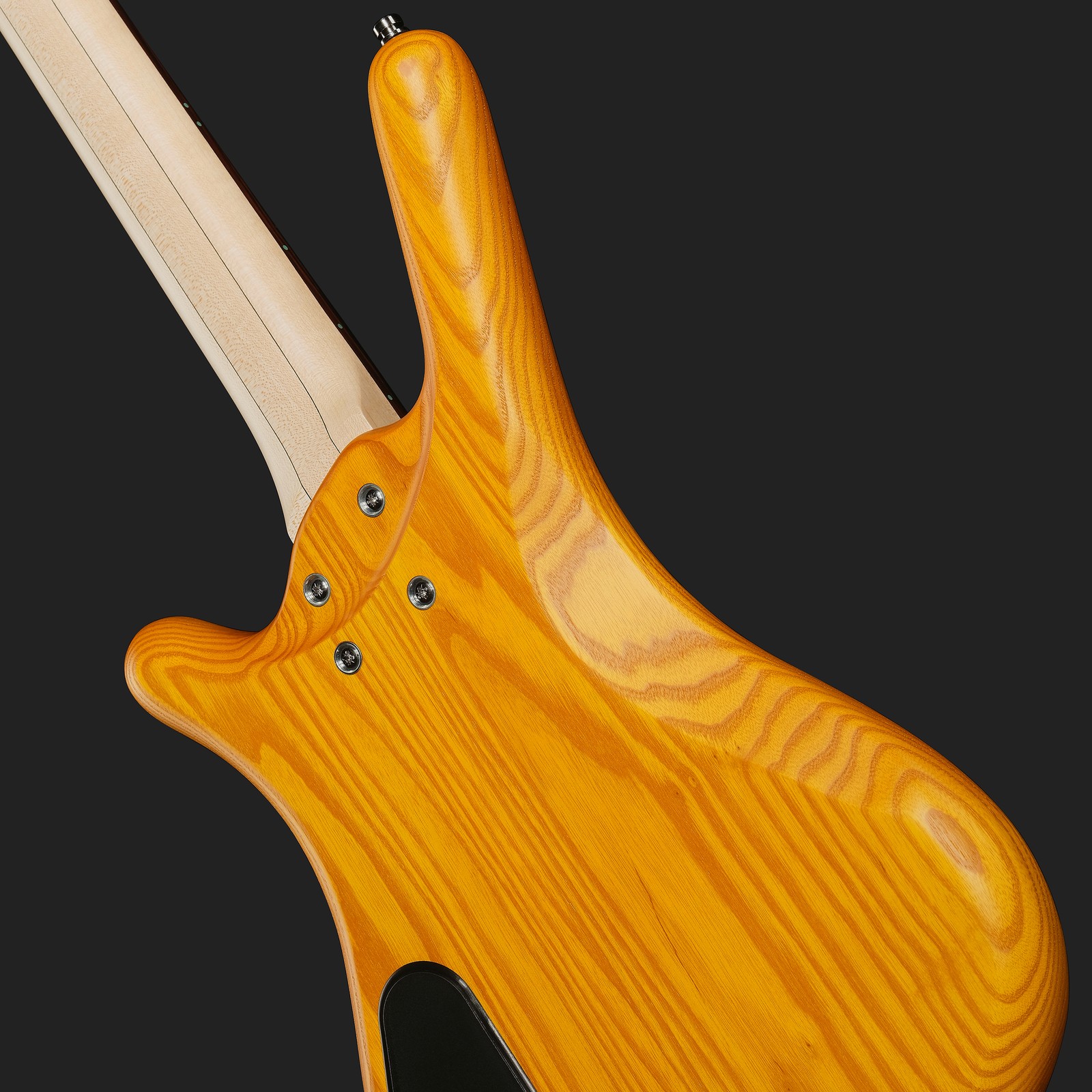 Rückseite des Warwick RB Corvette $$ 4 HV TS, E-Bass