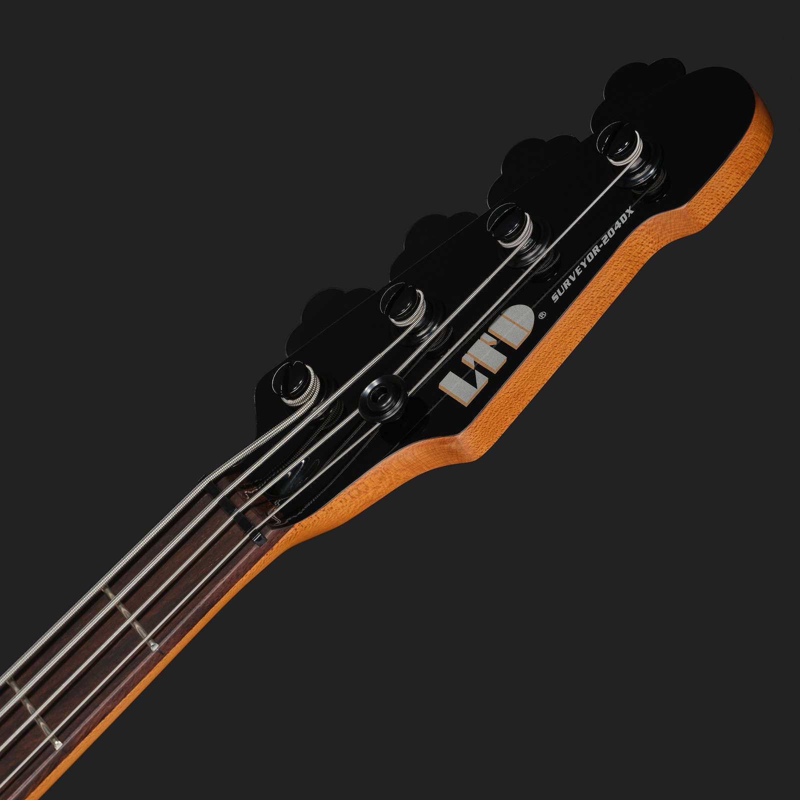 Kopfplatte des ESP LTD Surveyor-204DX RB E-Bass
