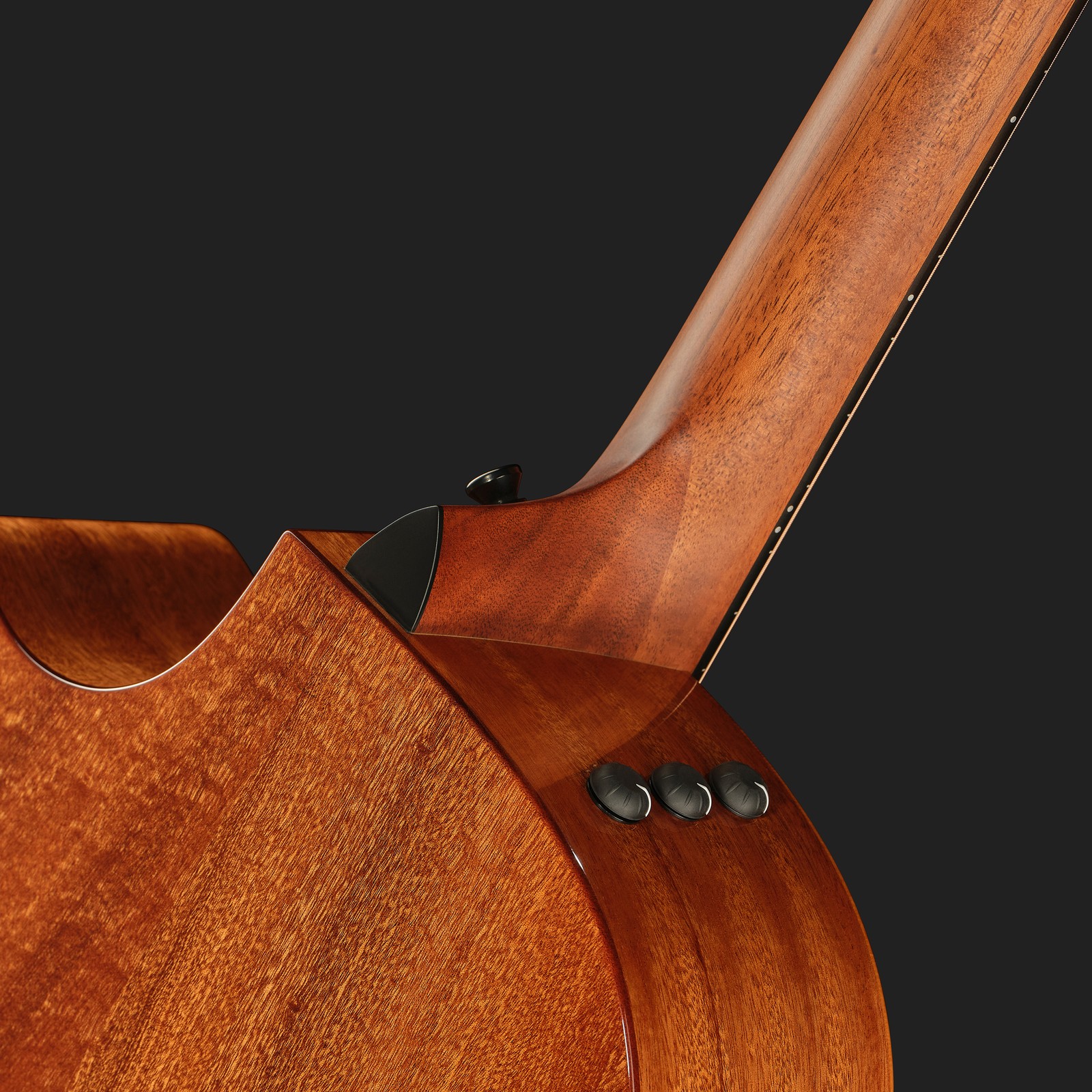 Rückseite der Taylor 314ce Studio SEB