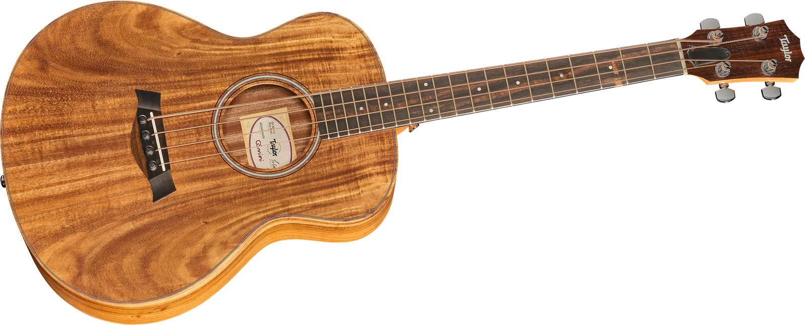 Taylor GS Mini-e Koa Bass Komplettansicht