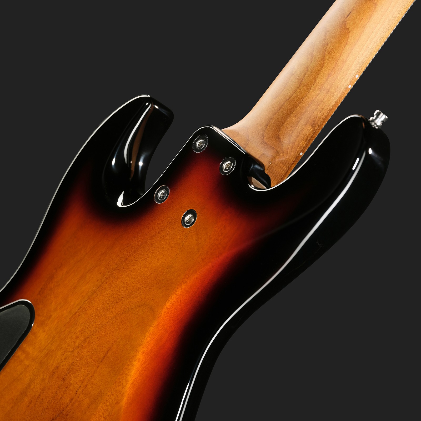 Sadowsky MetroExp 21 Hyb PJ 5 RM TSB, five-string bass guitar, rear view