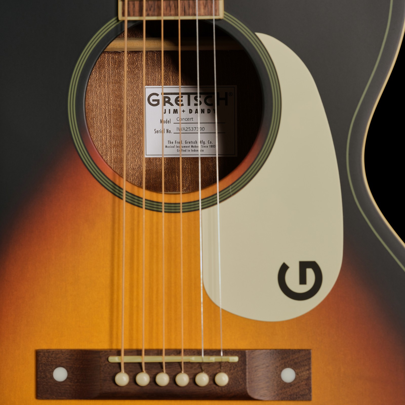 Schallloch der Gretsch JD Concert WPG RXB Westerngitarre