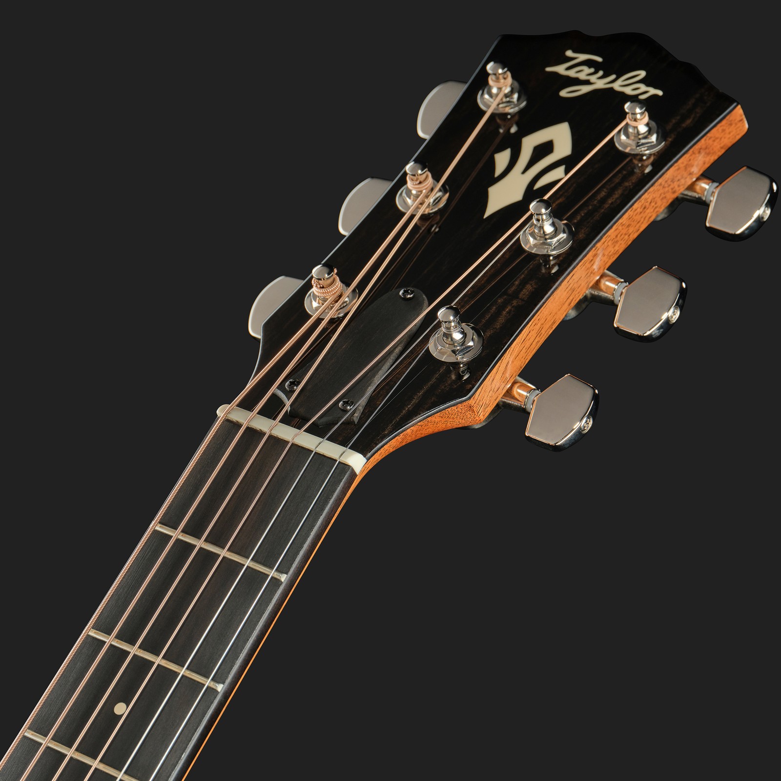 Koplplatte der Taylor Gold Label 512e Westerngitarre mit Tonabnehmer