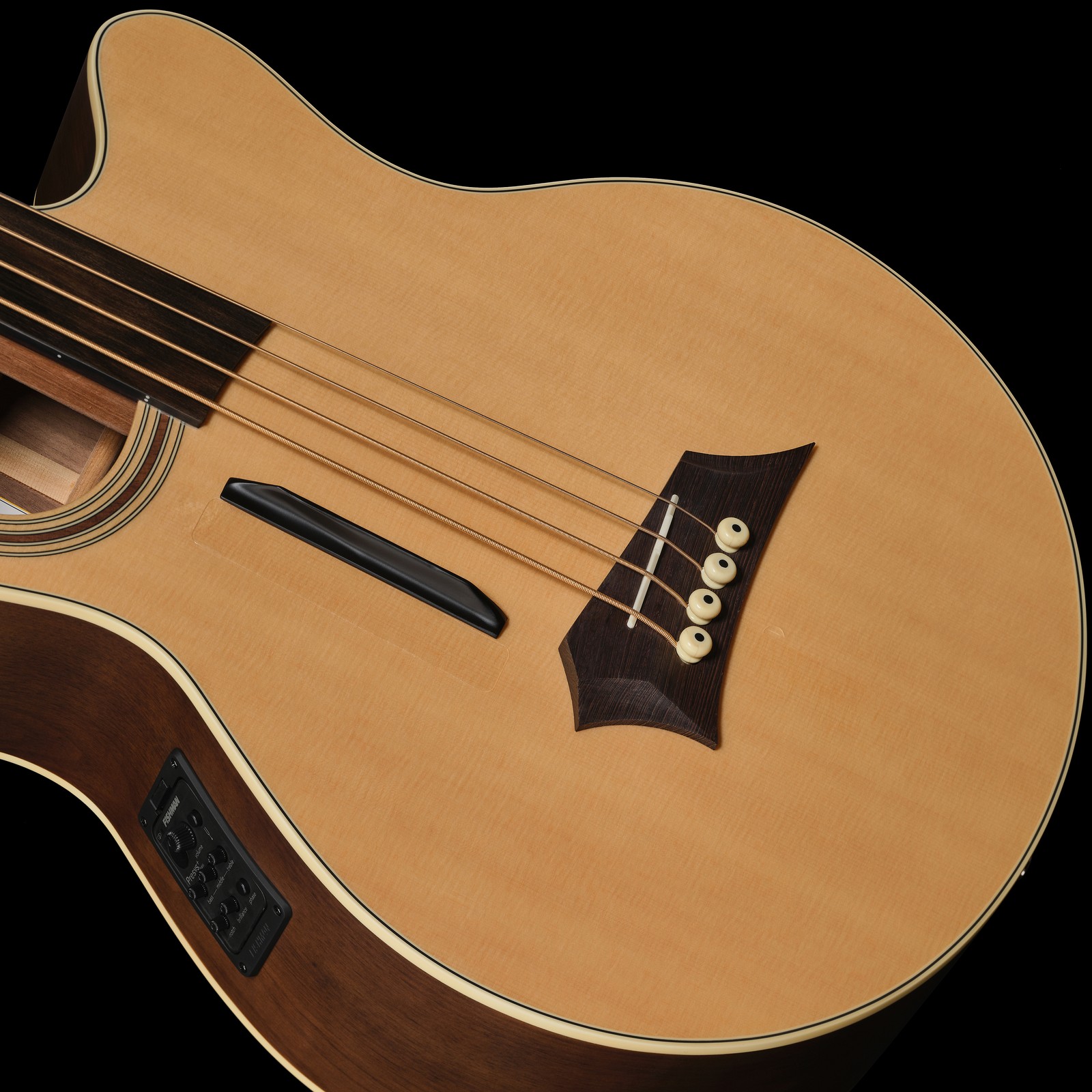 Top, Warwick Alien Deluxe 4 Hybrid Thinline Fretless, acoustic bass