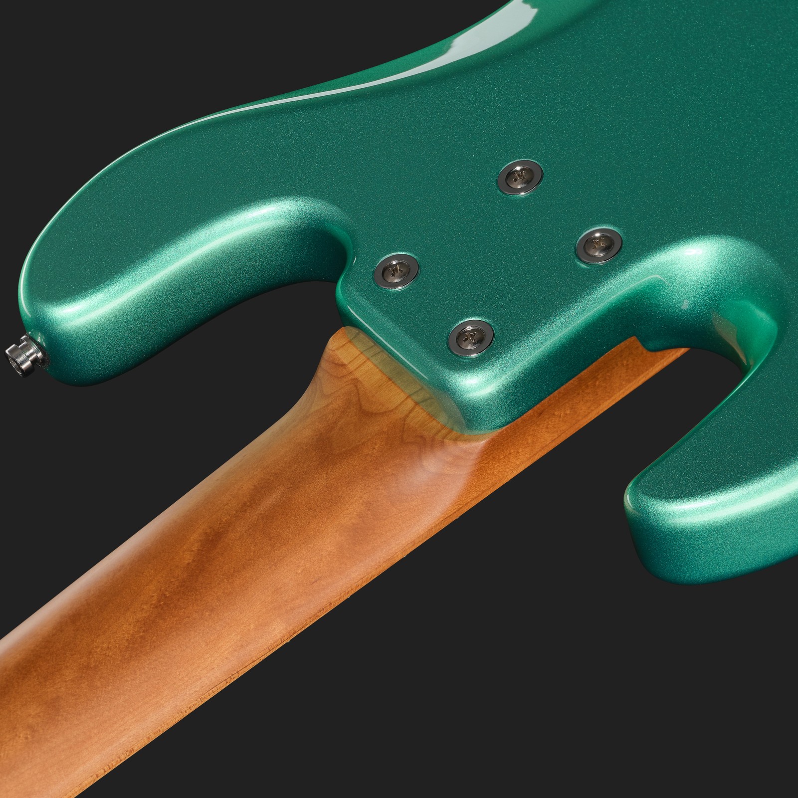 Sadowsky MetroExp 21 Hyb PJ 5 RM SGR, five-string bass, rear view