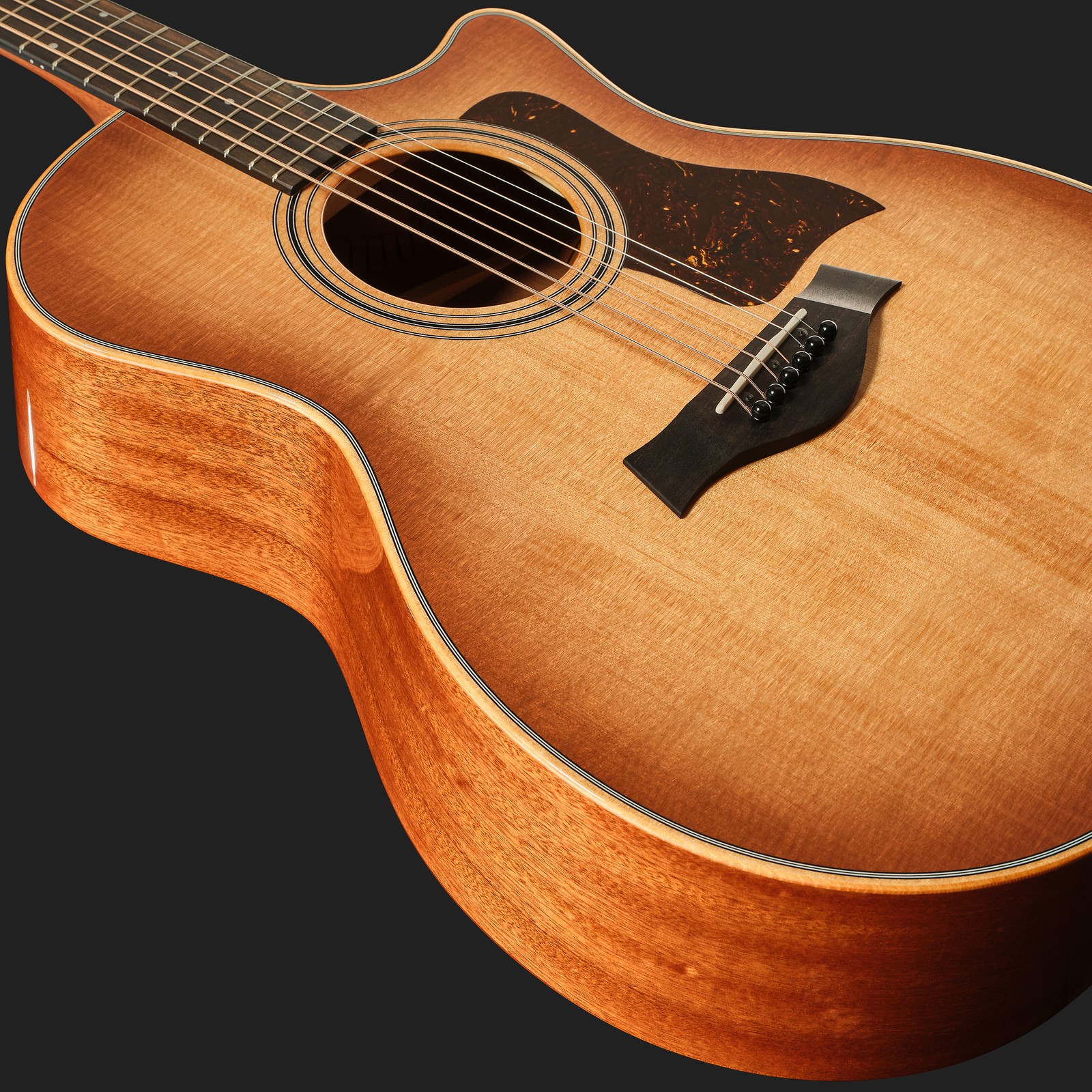 Decke der Taylor 314ce Studio SEB