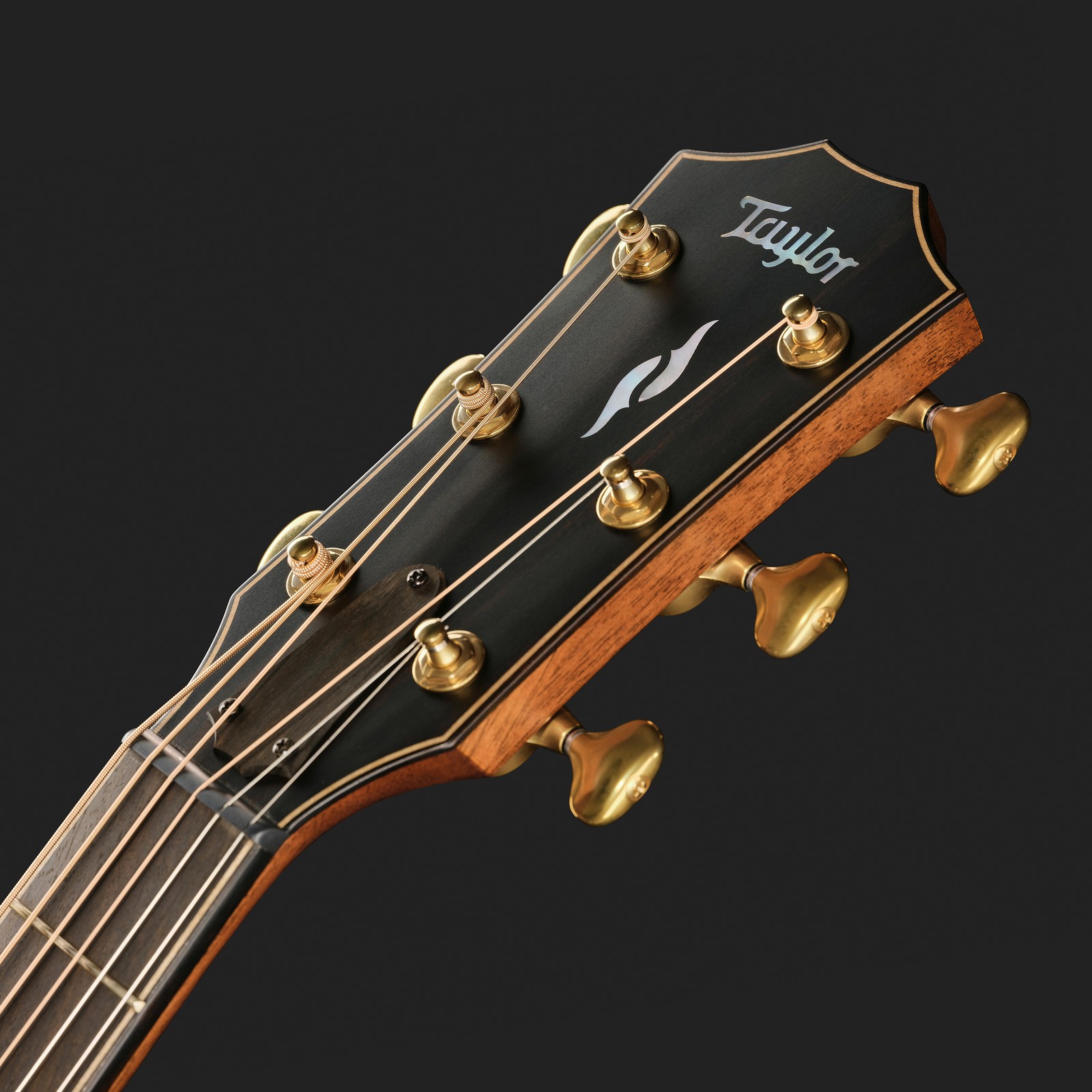 Kopfplatte der Taylor BE 814ce Next Gen Westerngitarre