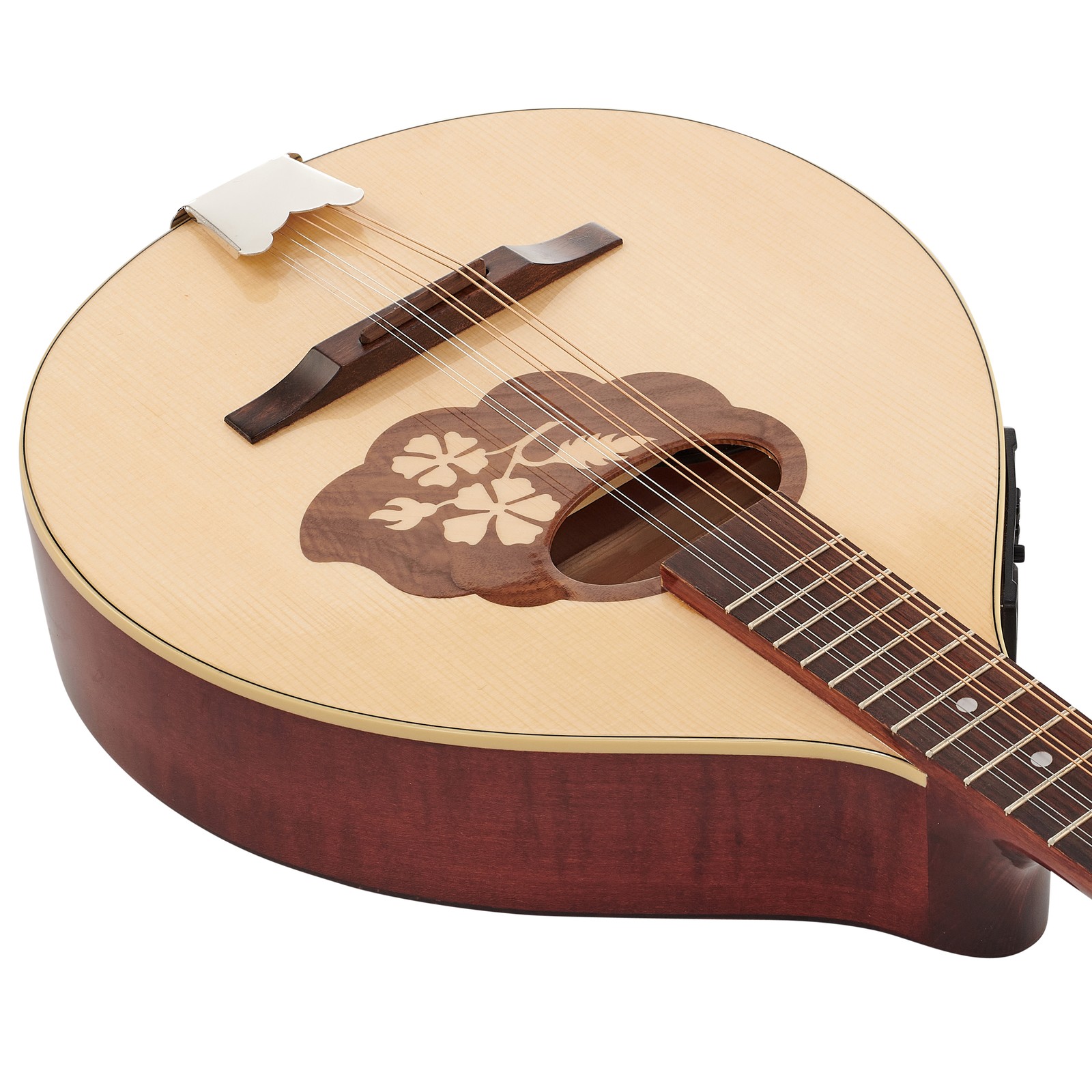 Fichtendecke der Thomann Irish Bouzouki M1089-P