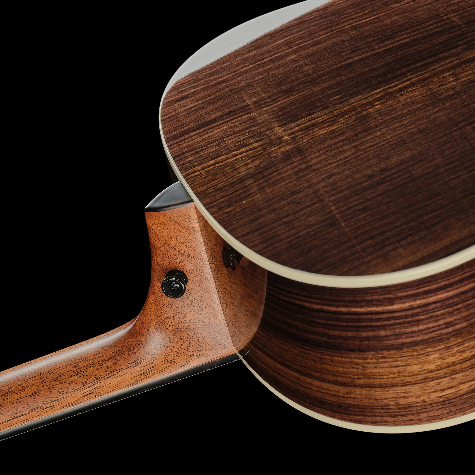 Palisanderkorpus der Taylor Gold Label 717e SB Firestripe Westerngitarre