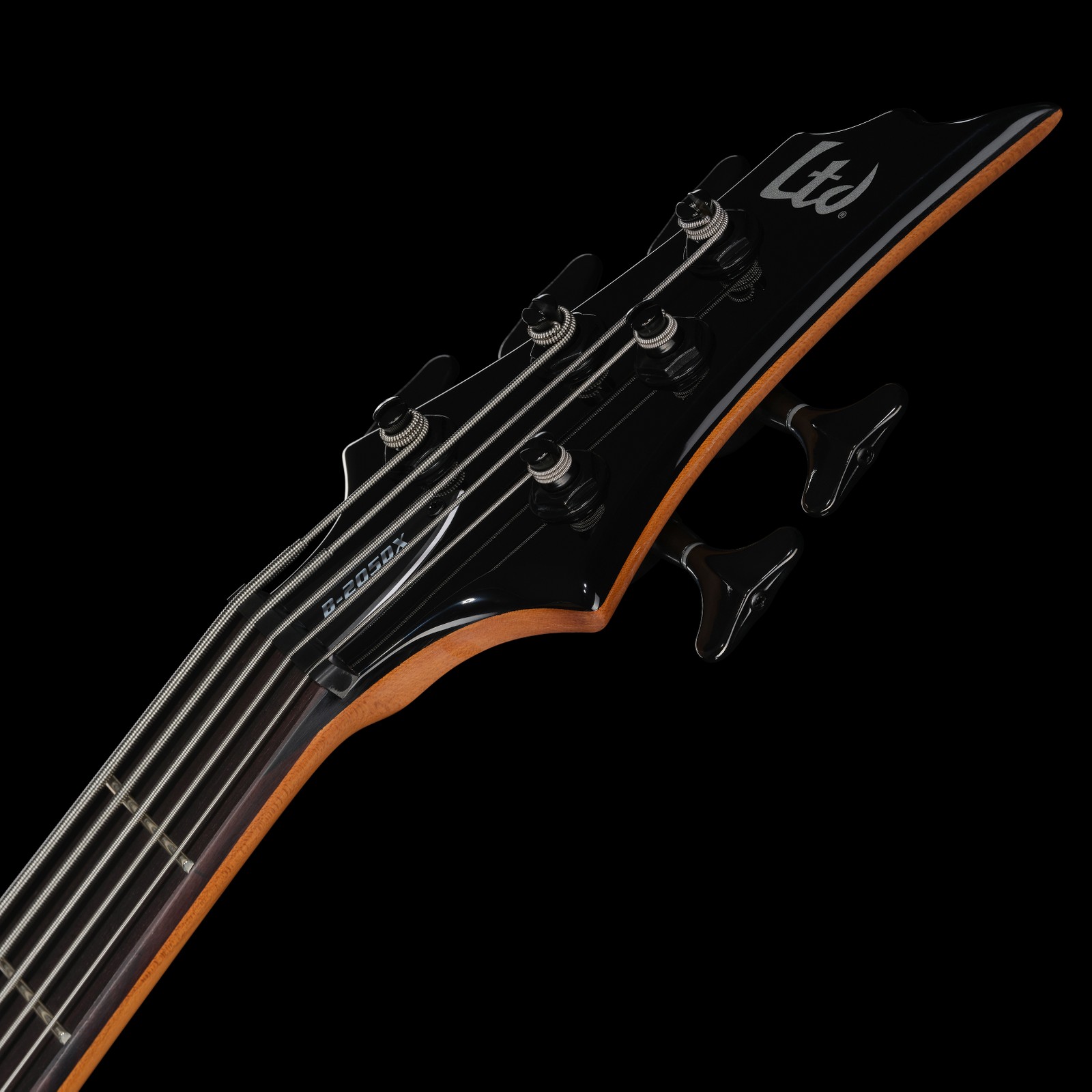Kopfplatte des ESP LTD B-205DX RB E-Bass