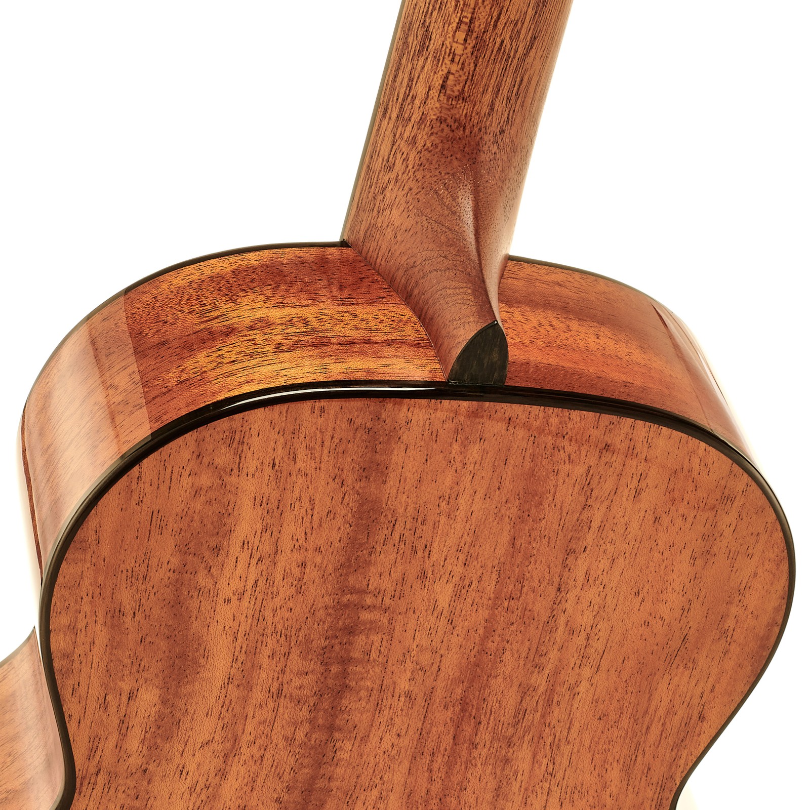 Halsübergang der Kala CT-SMH-BG Baritone Ukulele