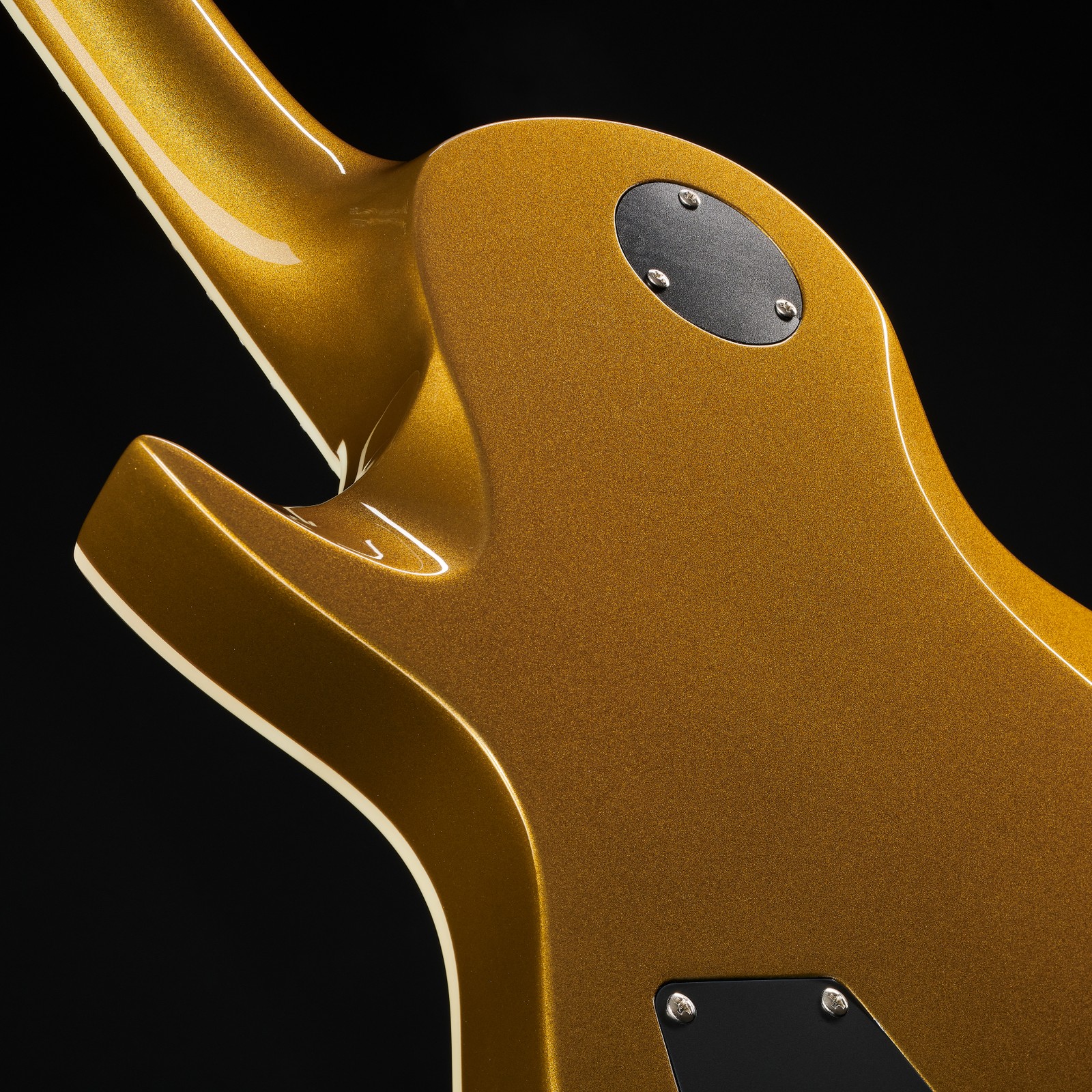Harley Benton SC-Custom III Gold Top Rückseite