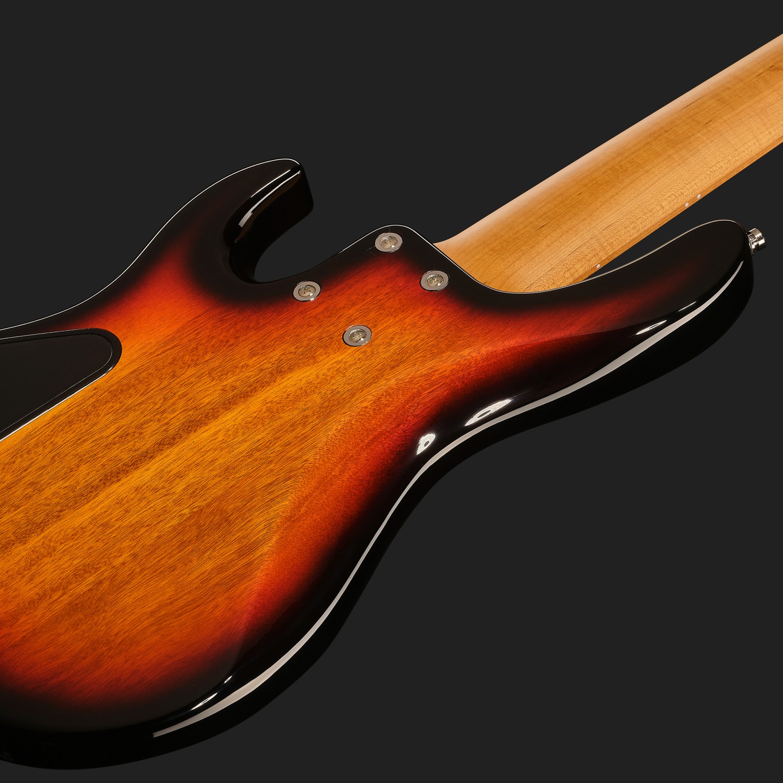 Rear view, Sadowsky MetroExpress 24 Modern 5 Maple Tobacco Sunburst, five-string bass guitar