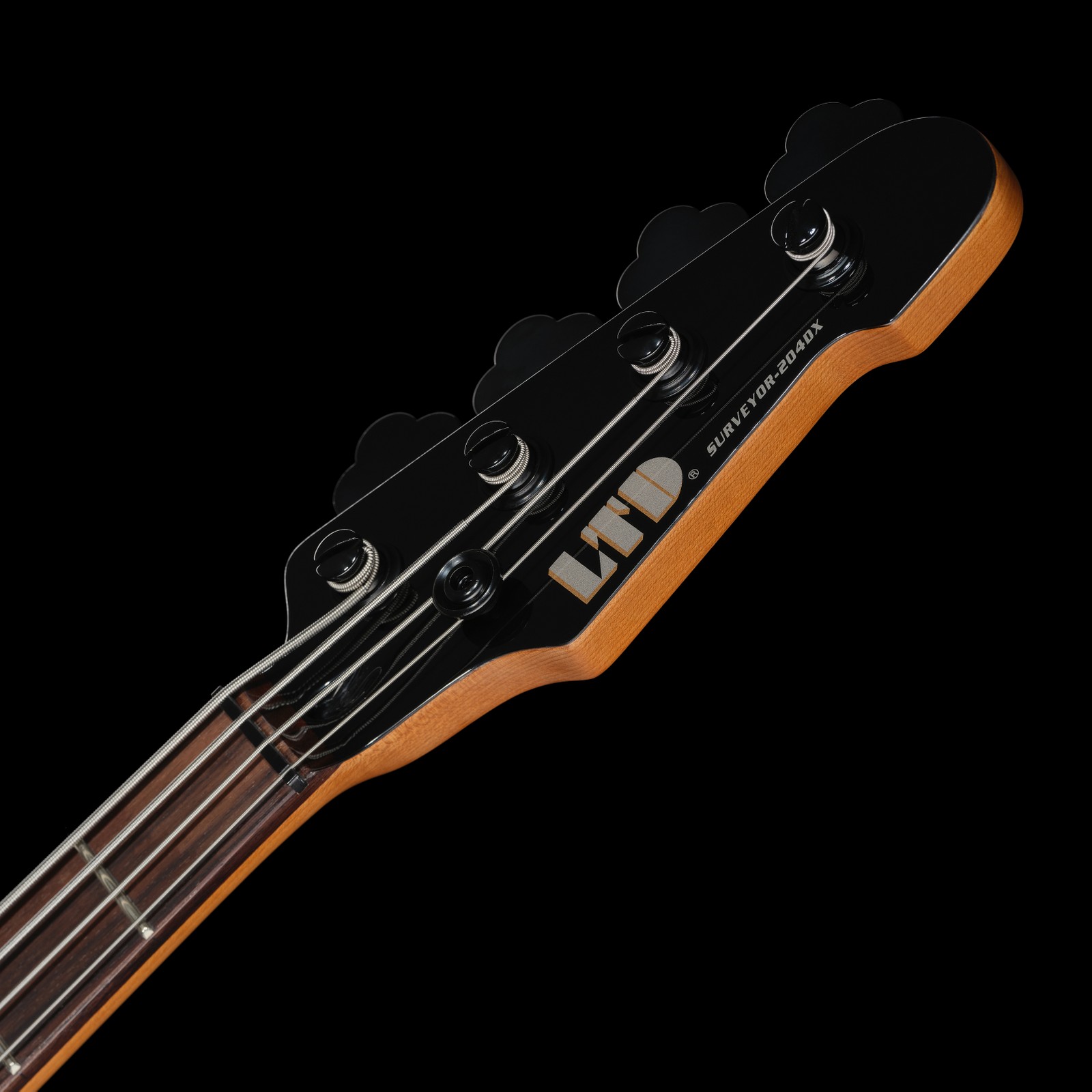 Kopfplatte des ESP LTD Surveyor-204DX BB E-Bass
