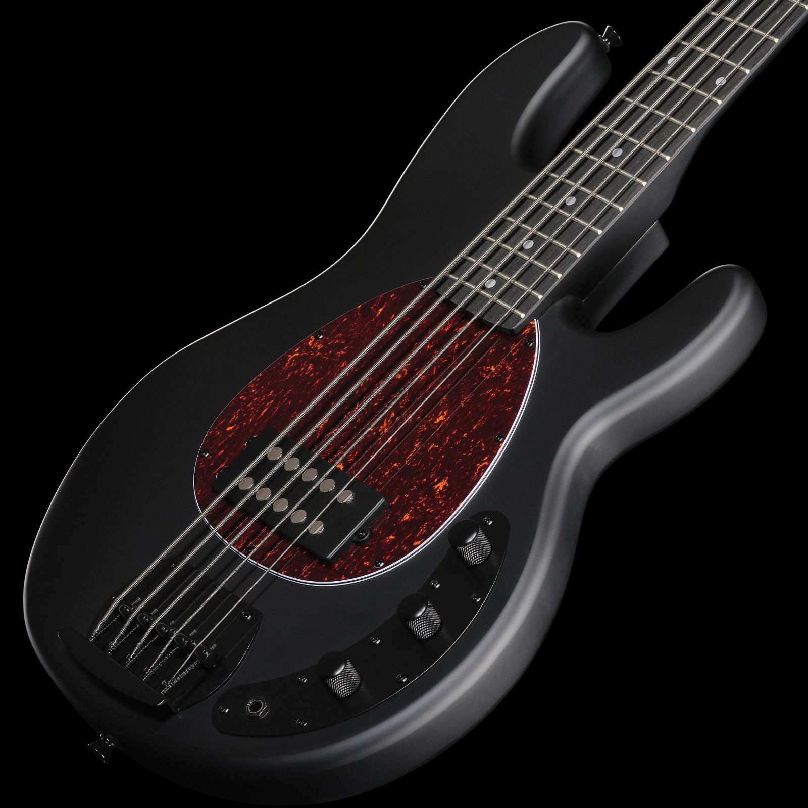 Mattschwarzer Korpus mit Tortoise Pickguard und Humbucker Pickup