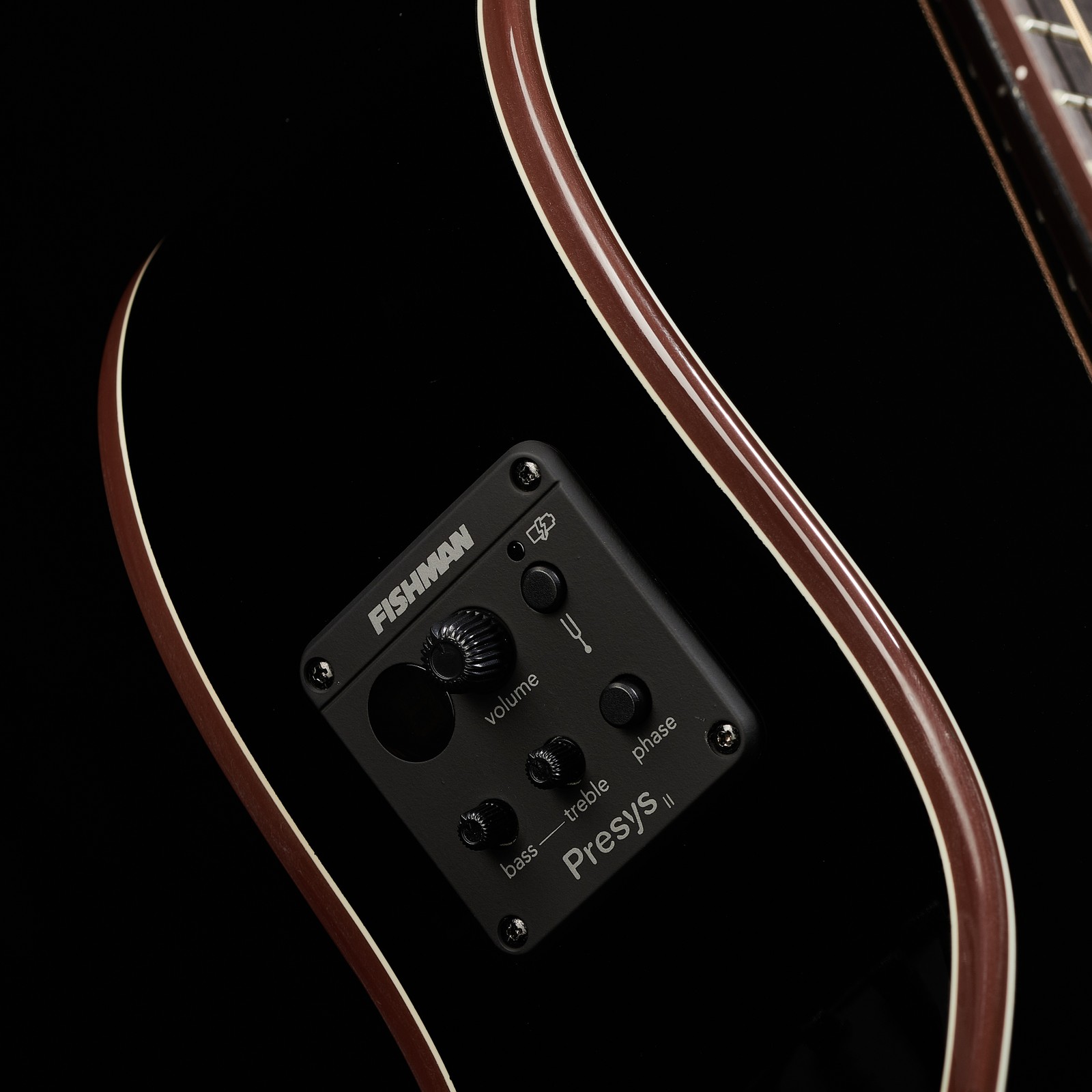 Preamp in der Zarge der Harley Benton EAX-500TL Black 