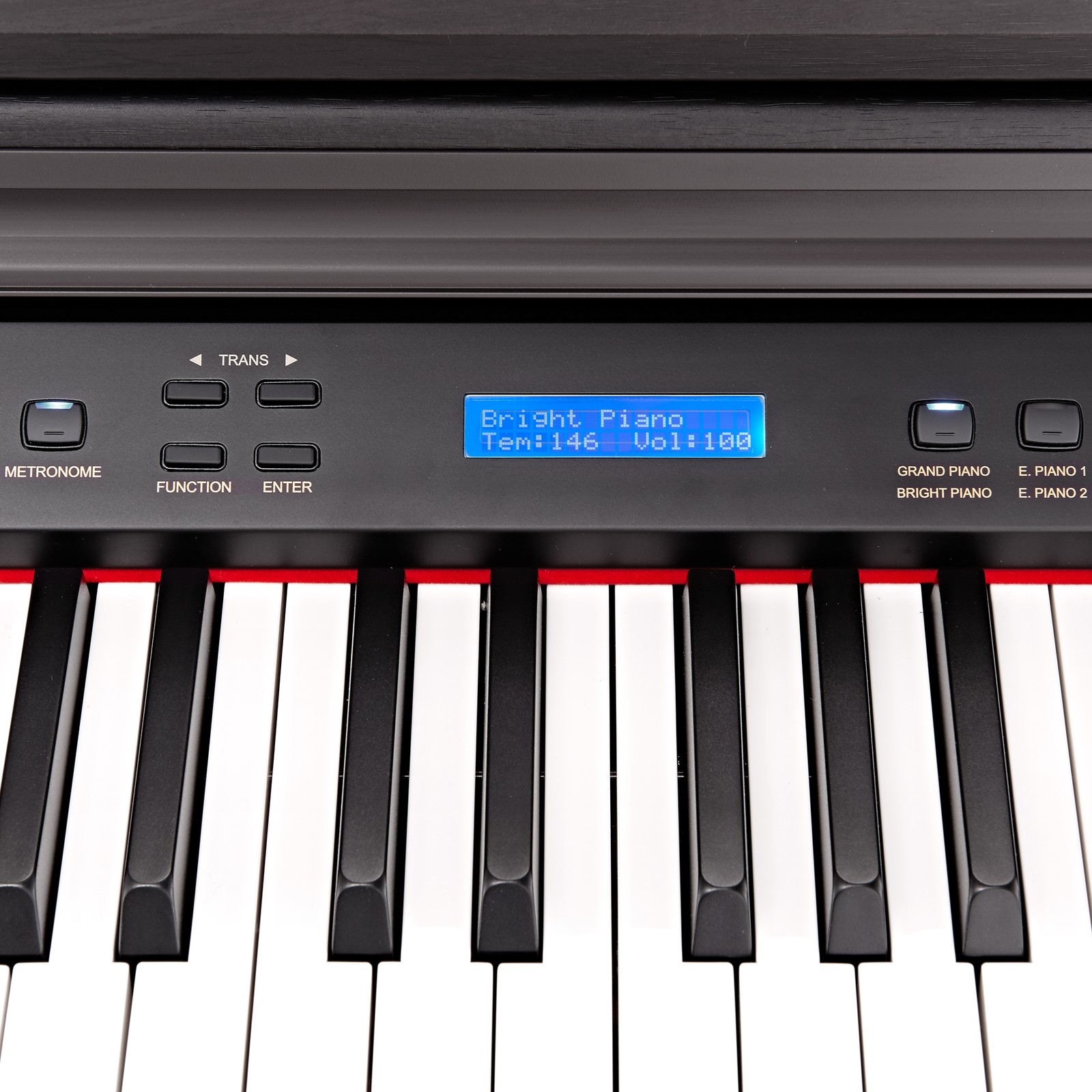 Bildschirm und Tastatur am Hemingway DP-501 MKII RW