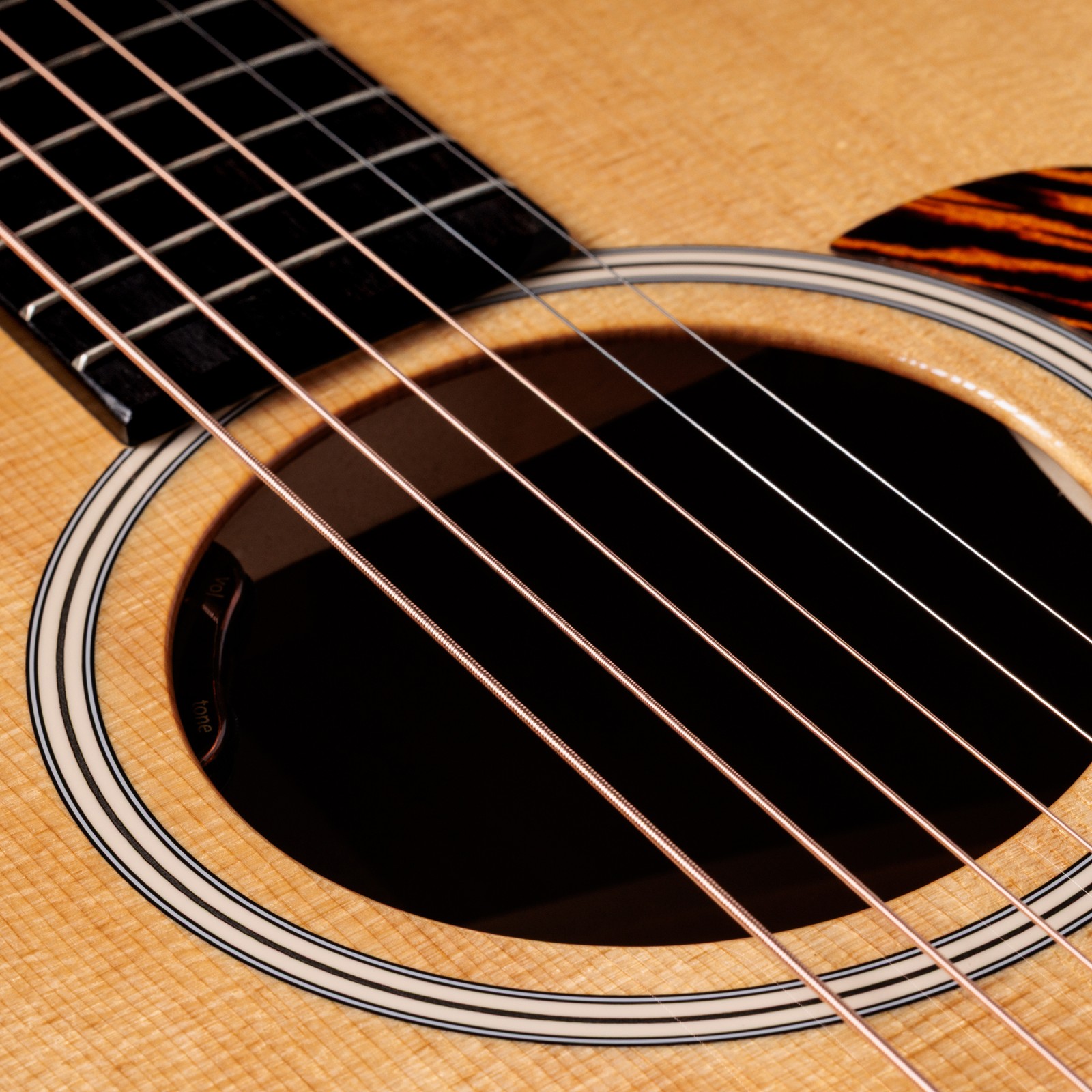 Taylor Gold Label 512e Detail