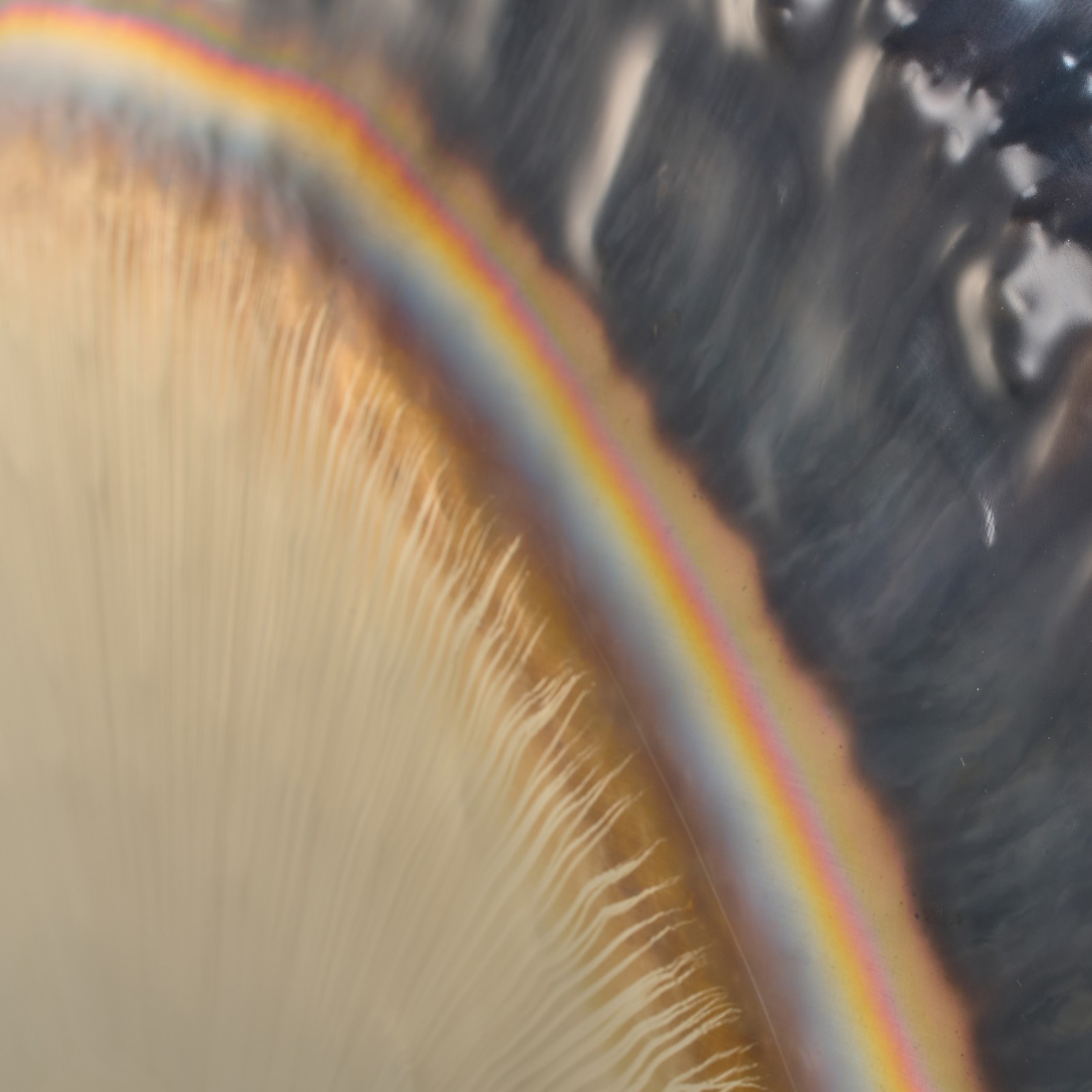 Thomann 40"/102cm Planet Gong Neptune, Detail