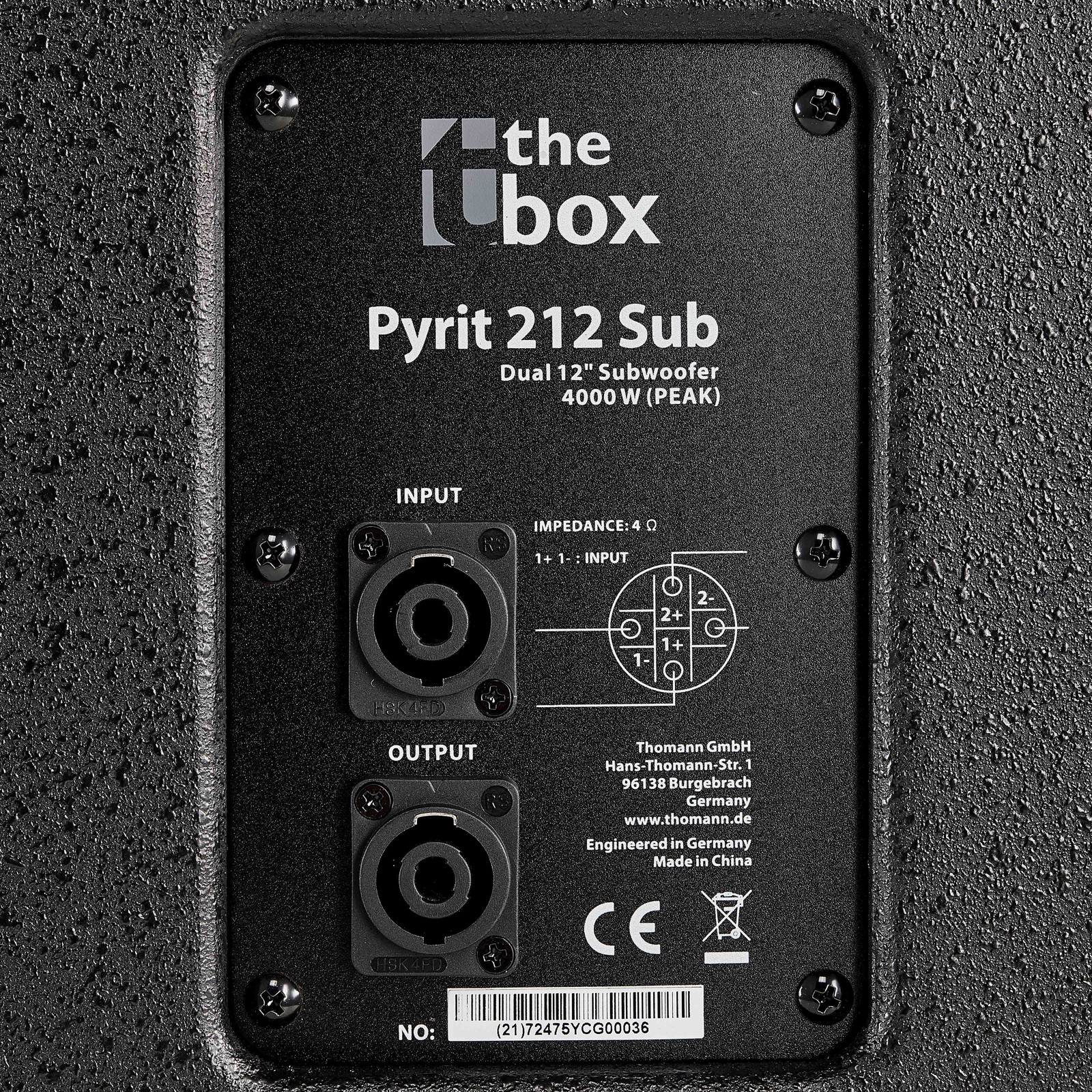 Anschlüsse auf der Rückseite des the box Pyrit 212 Sub 