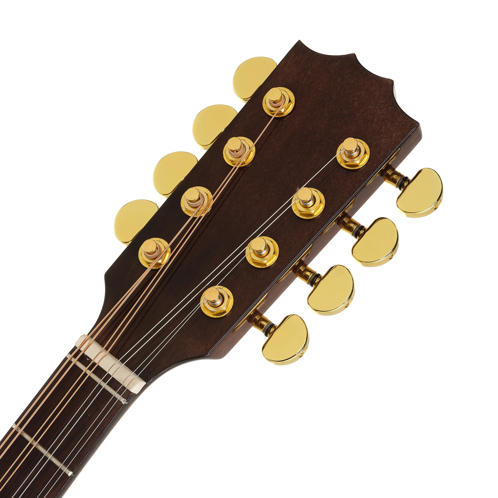 Thomann Irish Concert PU Bouzouki headplate